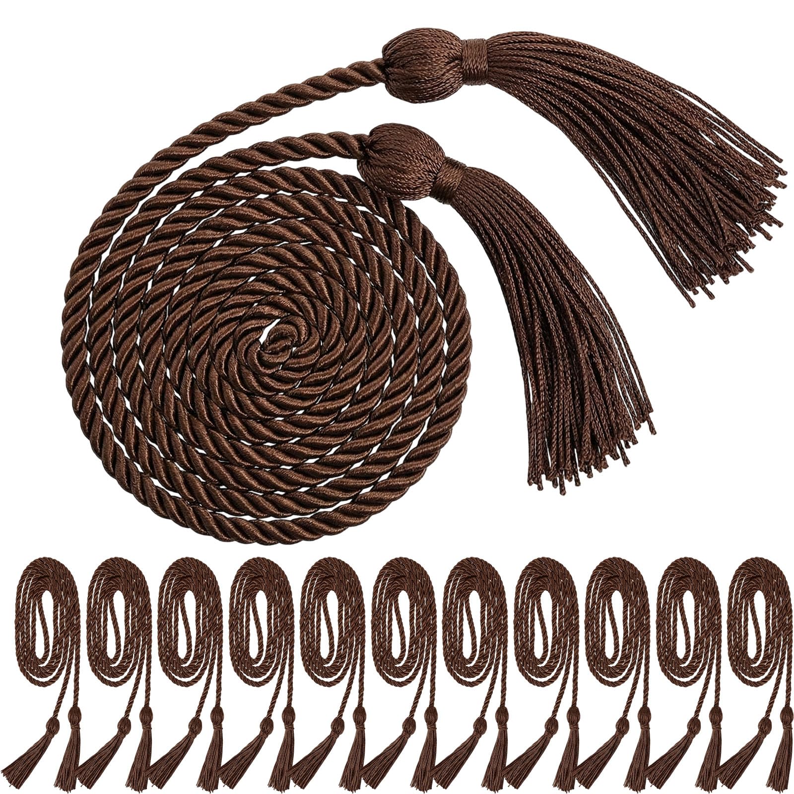 WILLBOND 12 Pcs Graduation Rope Honor Cord Tassel Set, Graduation Accessories for Ceremony, Graduate Students Souvenir and Gift (Brown)