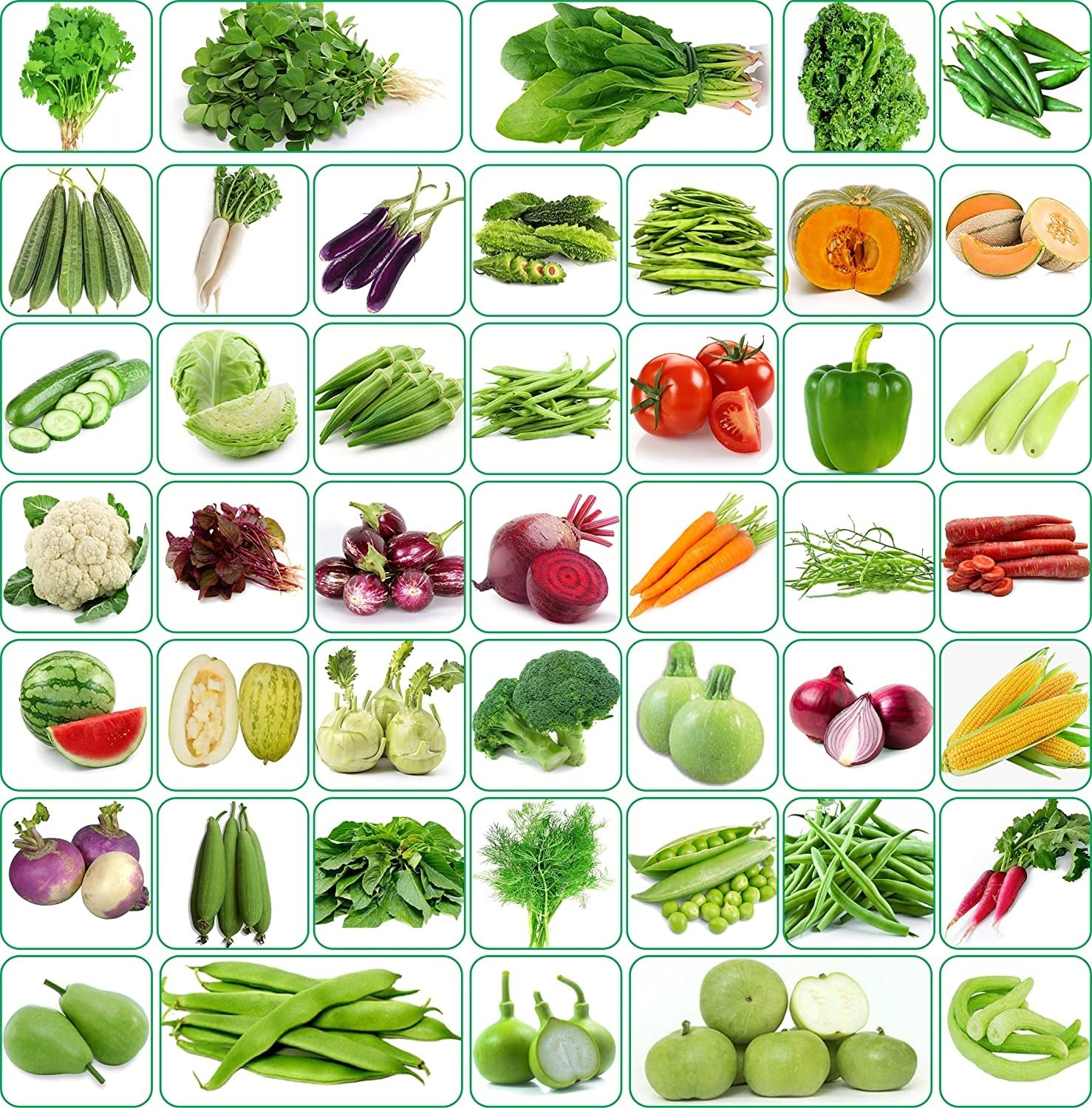 Seeds Basket 40 Vaeriety of Organic Vegetable Seeds Combo Suitable For All Season, Best to Grow At Indian Weather | Pack Of 2000+ Seeds| (B0BYFD7F91) Amazon Price History, Amazon Price Tracker