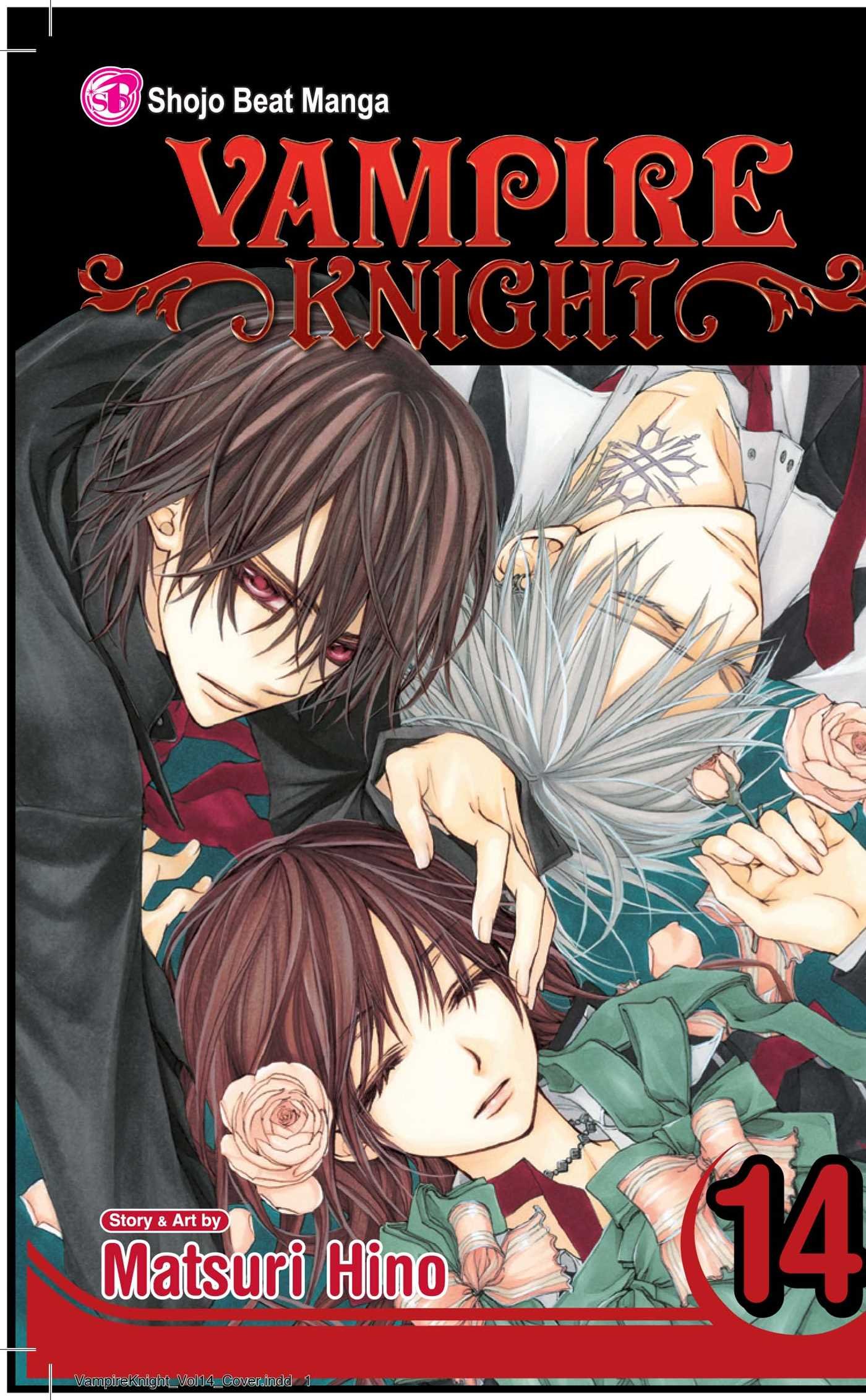Vampire Knight, Vol. 14: Volume 14