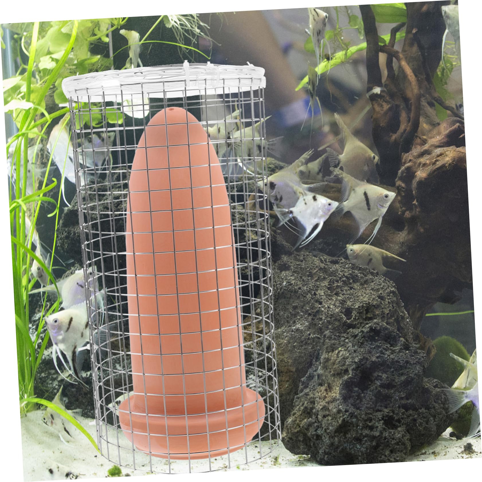 TOYANDONA Fischlaichkegel aus Töpferton für Aquarium Zucht mit Einfachem Reinigen Geeignet für Süß und Salzwasser als Laichhilfe für Kaiserfische und Garnelen
