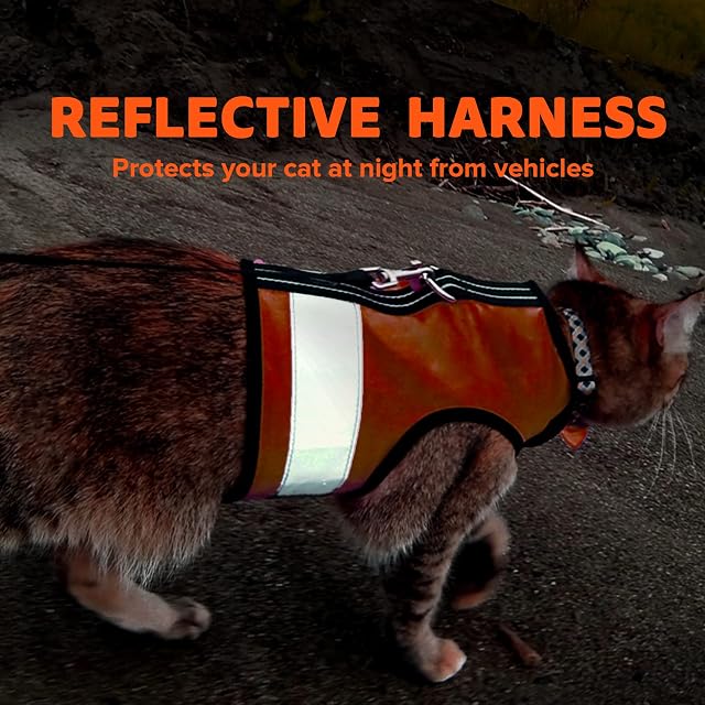 Foto 6 de 6 de Kitty Holster Arnés reflectante para gatos, chaleco de alta visibilidad para el día y la noche, algodón seguro