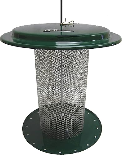 Birds Choice SAF - Comedero de girasol con diseño de cártamo y cascarón, con malla magnética, 3 cuartos de galón, color verde