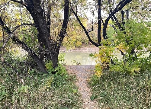 Miniatura 2 de Noah - Rompecabezas de Dakota del Norte, paisaje otoñal escénico, 1000 piezas