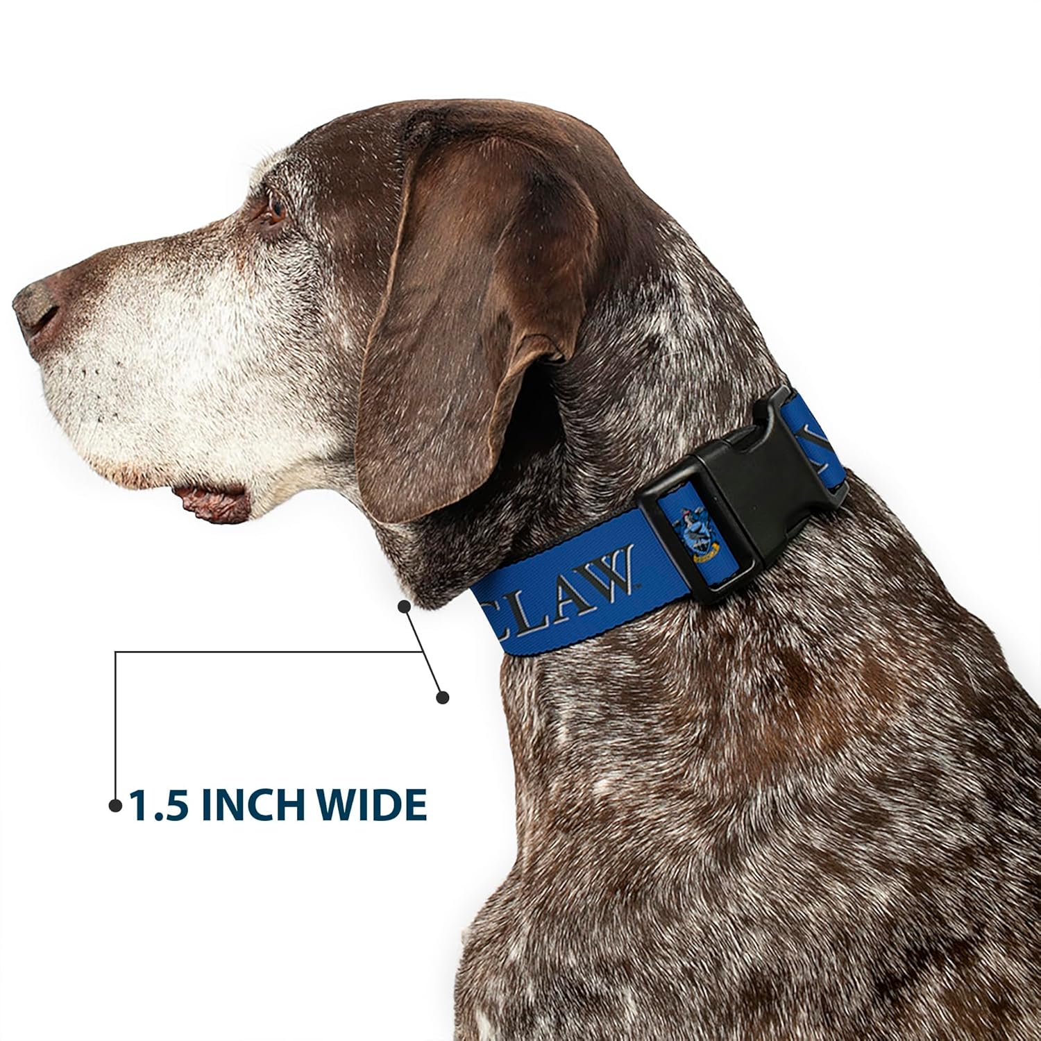Buckle-Down Dog Collar Plastic Clip Harry Potter Ravenclaw Crest Blue Black 20 to 31 Inches 1.5 Inch Wide