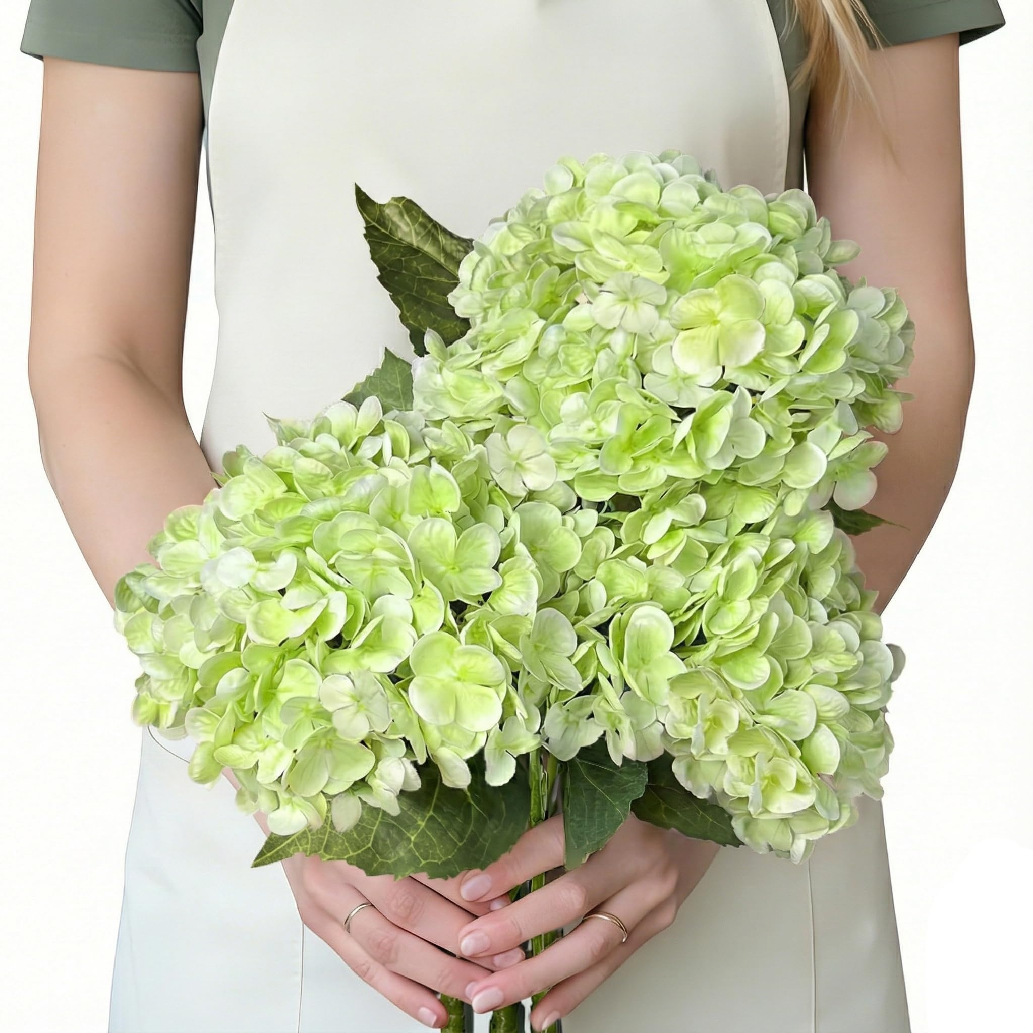 Suaycy Light Green Hydrangea 3-Pack