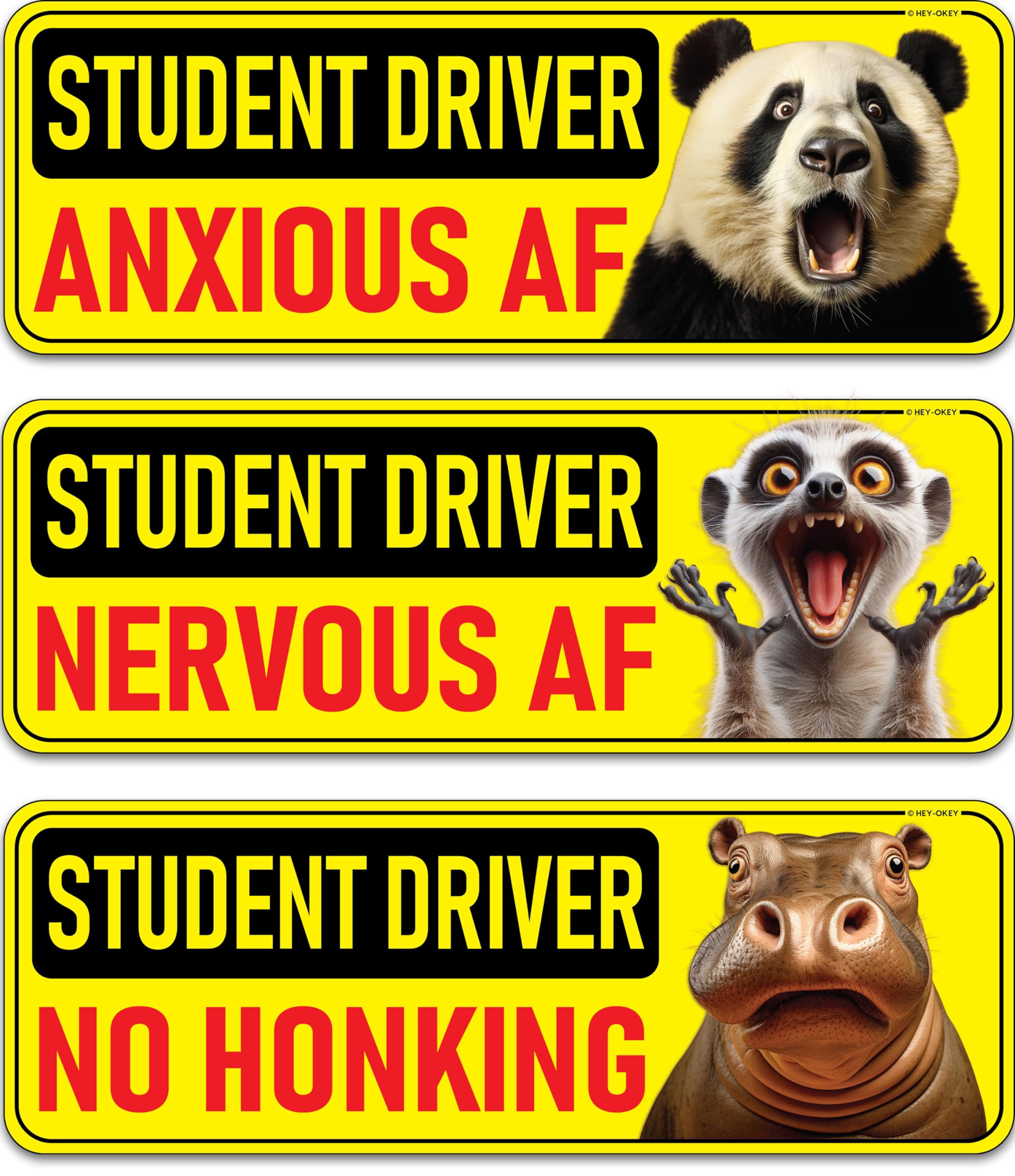 Autocollant Magnétique Réutilisable Pour Conducteur D'étudiant