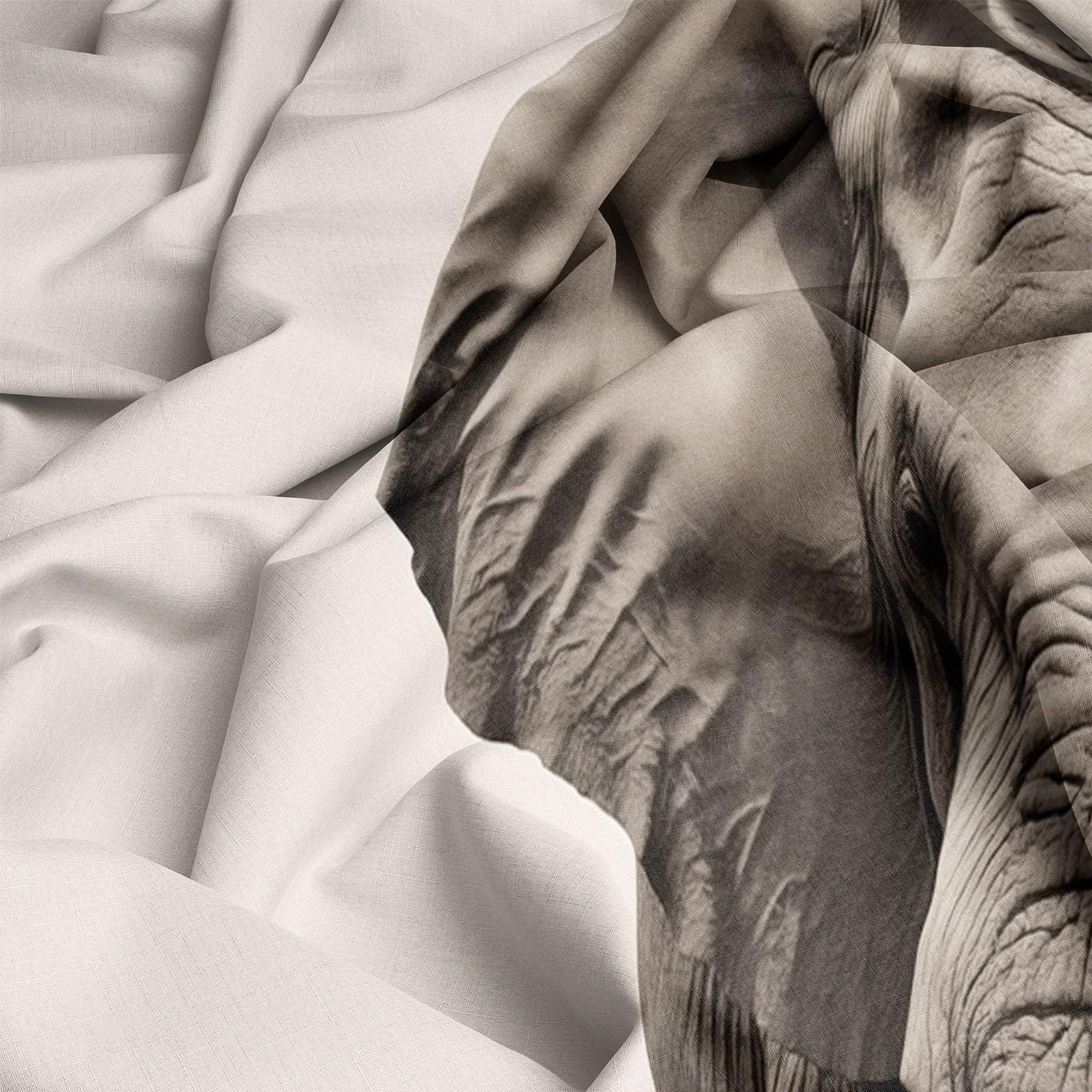 Copripiumini 200 x 200 cm 3 pezzi,reversibile Morbido Stampe Elefante Documentario Natura Selvaggia set da letto federe copripiumino per adulti Bianco