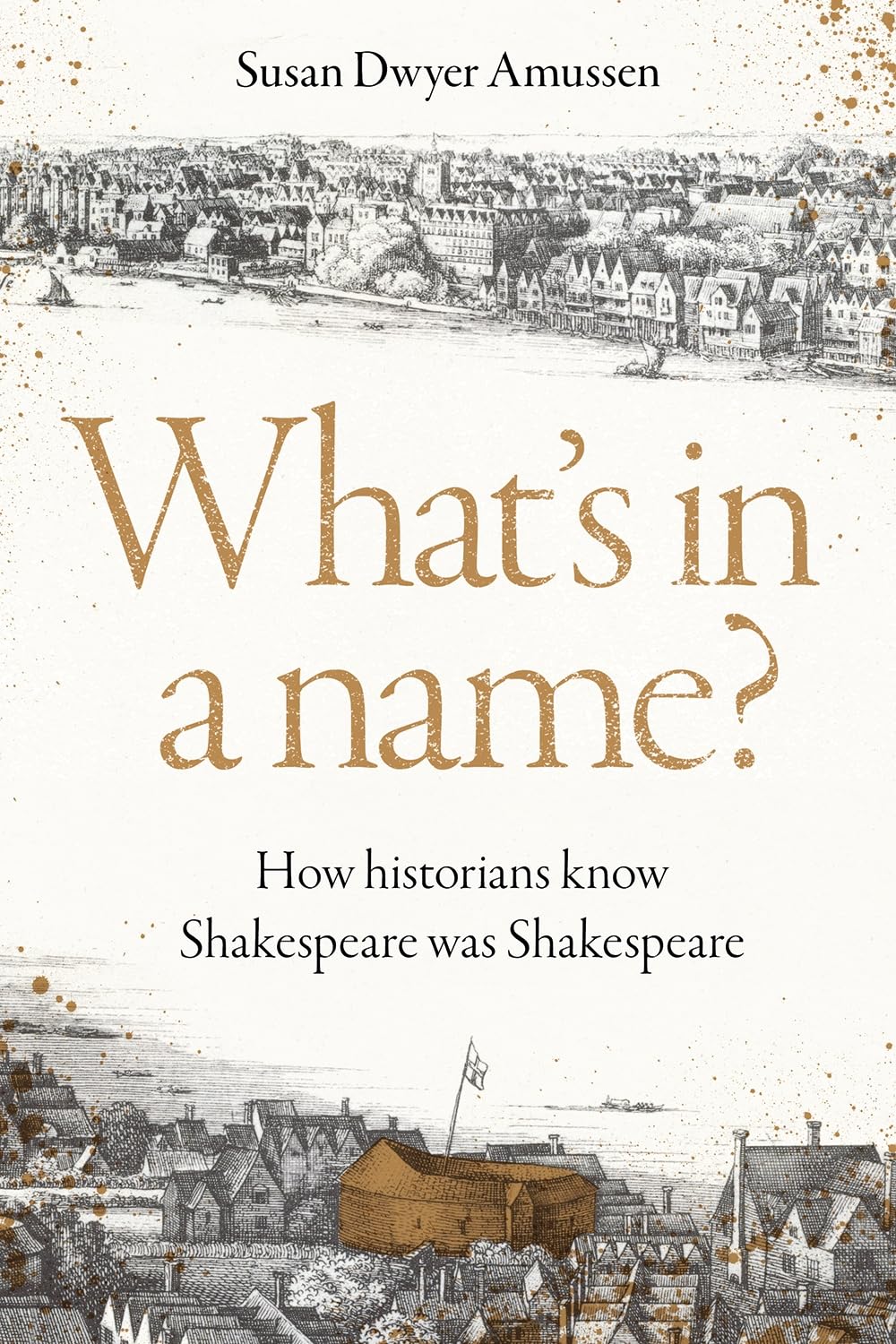 What's in a name? by Susan Dwyer Amussen (Hardback Book)