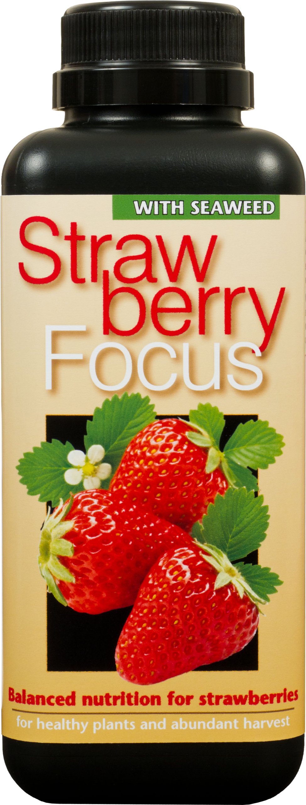 Strawberry Focus Balanced Nutrition 500ml
