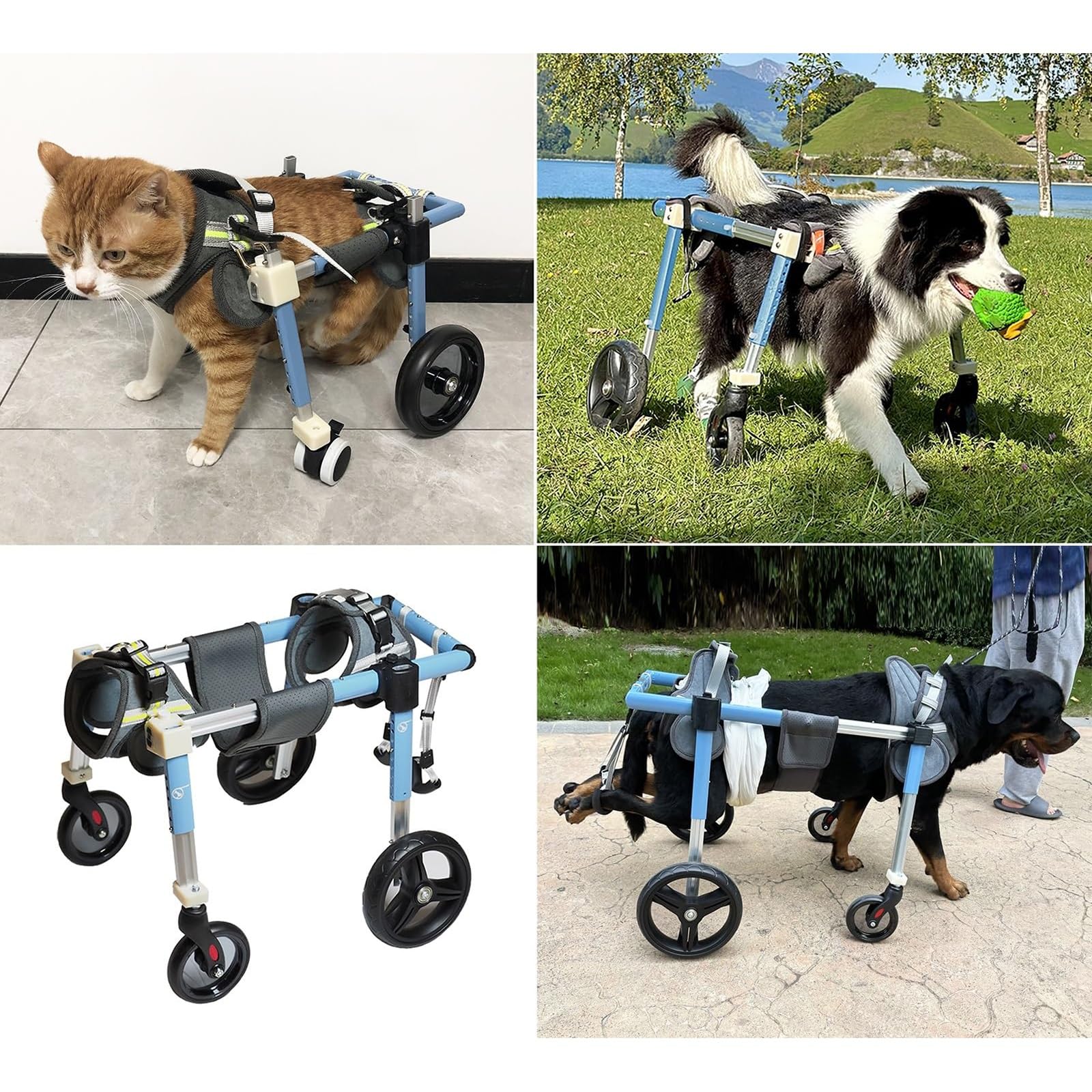 Hunderollstuhl Mit 4 Rädern, Verstellbare Mobilitätshilfe Für Vorder- Und Hinterbeine, Für Alle Hunderassen – Laufband Mit Vollständiger Unterstützung Für Hunde, Für Behinderte(XL)