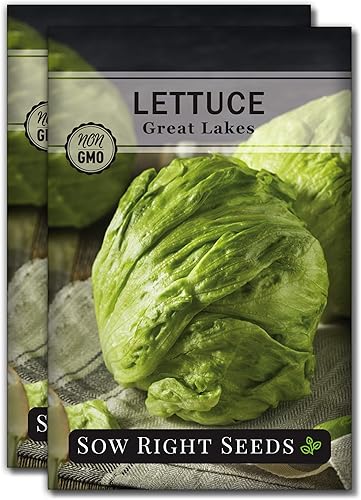 Sow Right Seeds - Semilla de lechuga iceburg Great Lakes para plantar - Paquete de reliquia sin OMG con instrucciones para plantar un huerto en