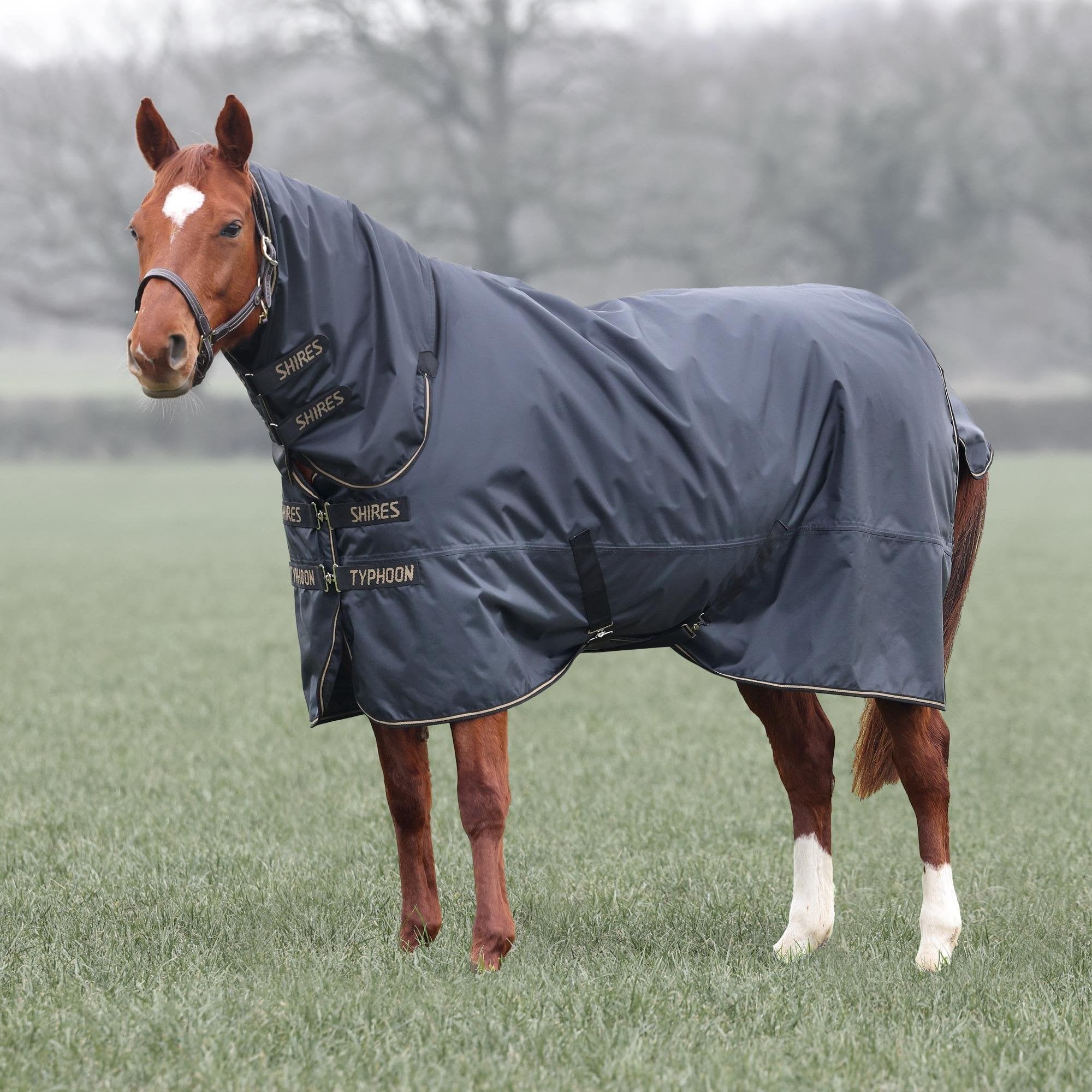 Shires Typhoon 50g Waterproof Lightweight Combo Turnout Rug - Black