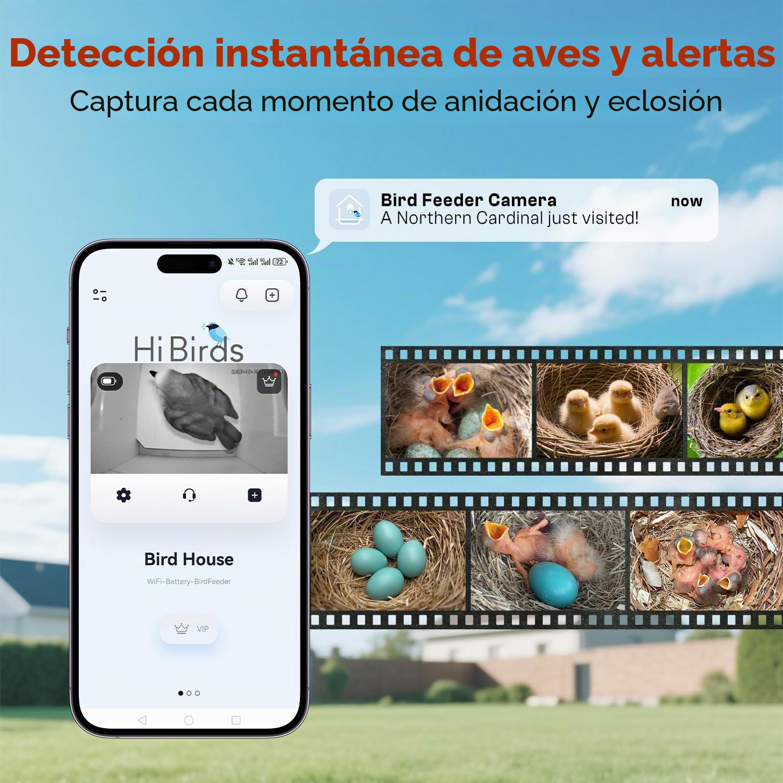 Pajarera con cámara solar 3K, nido para pájaros para exteriores, resistente a la intemperie, 2,4 G WiFi y notificación de aplicación, grabación de vídeo/foto y detección de movimiento, observa la