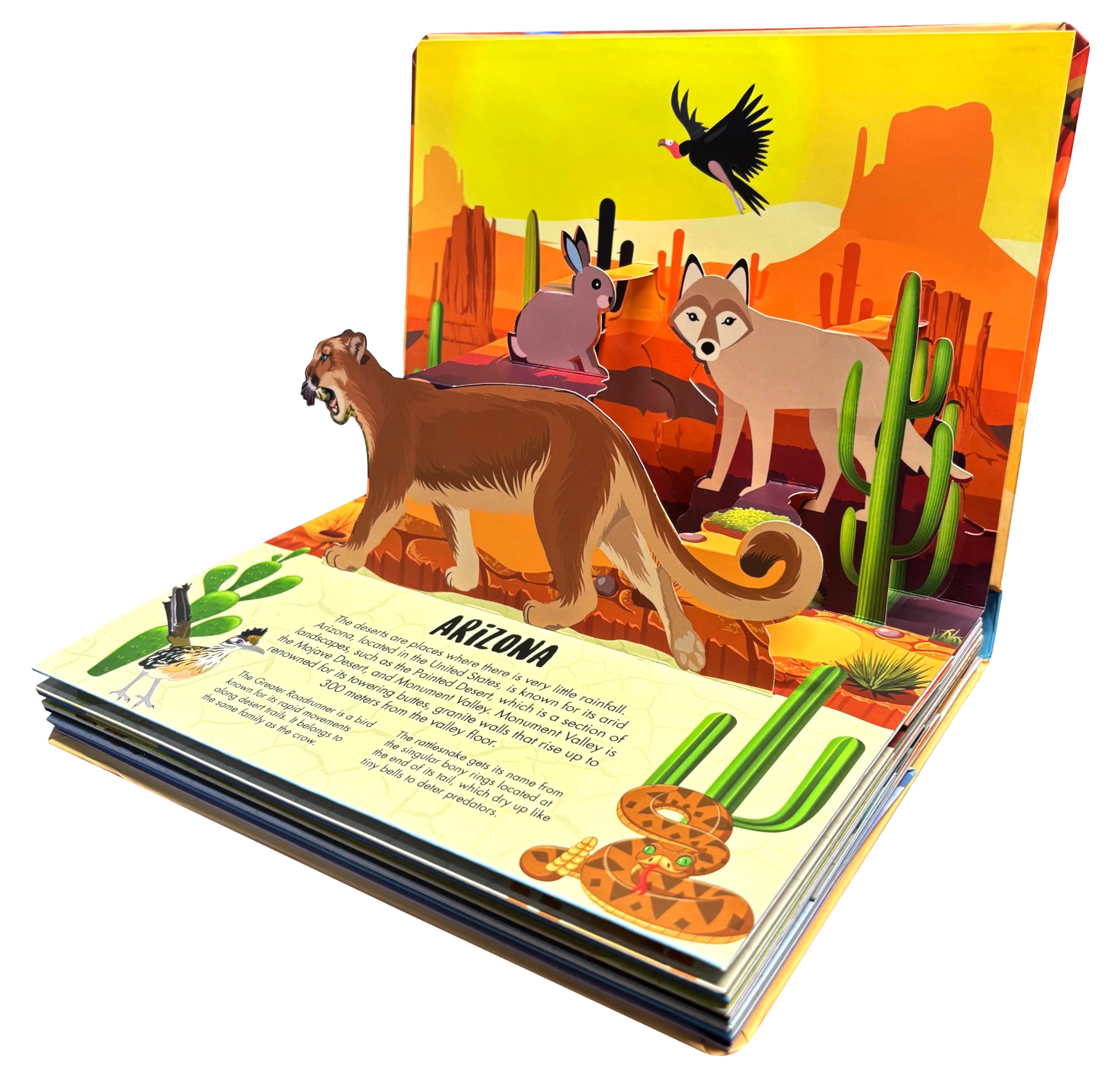 Pop Up Deserts Book for Kids: Interactive Learning with Adventure Pop-Up Scenes | Fun Facts & Surprises Inside | Amazing Animal Life, Habitat & ... | Children’s Nature & Geography Pop-Up Book 3