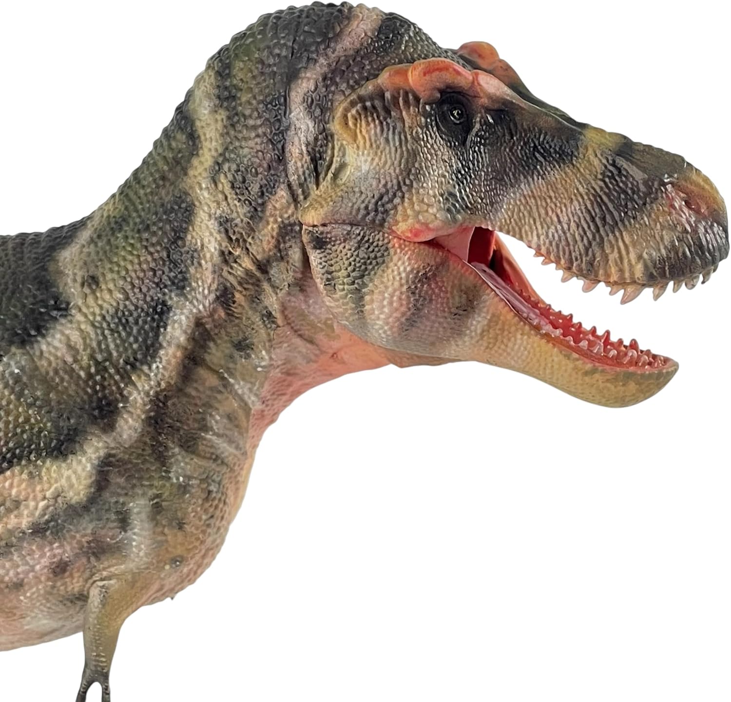 Artist Style: Tyrannosaurus Rex 1：35 Science and Art Model