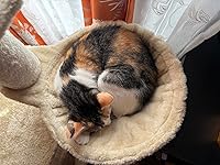 Review Image by Amazon Customer