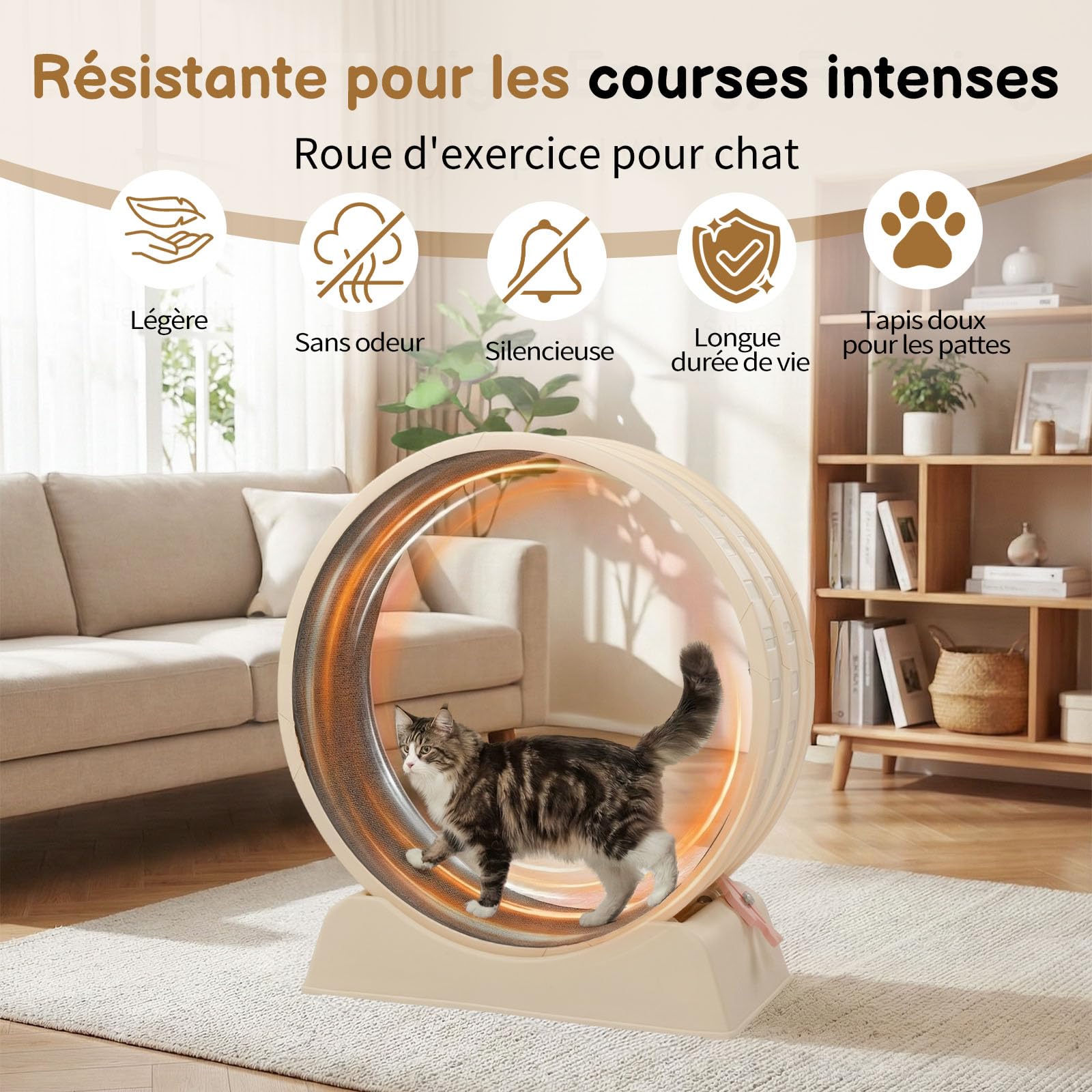 LEADZM Ruota di esercizio per gatti, 80 cm, ruota per gatti per 15 kg e meno gatti, connettore per guida in plastica, resistente ai graffi, stabile e silenzioso (bianco sporco)
