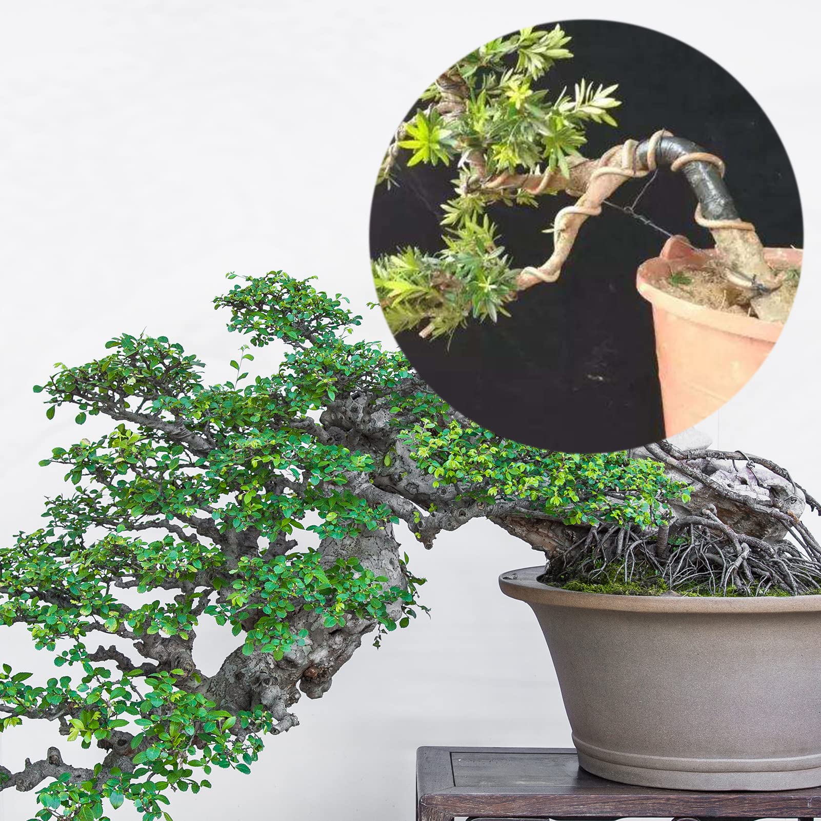 SZXMDKH 8 rotoli di filo per bonsai in alluminio da 1 mm, 500 m in totale, per bonsai e fai da te, con tronchesi (nero, 2 marroni, 2 argento, 2 verdi)