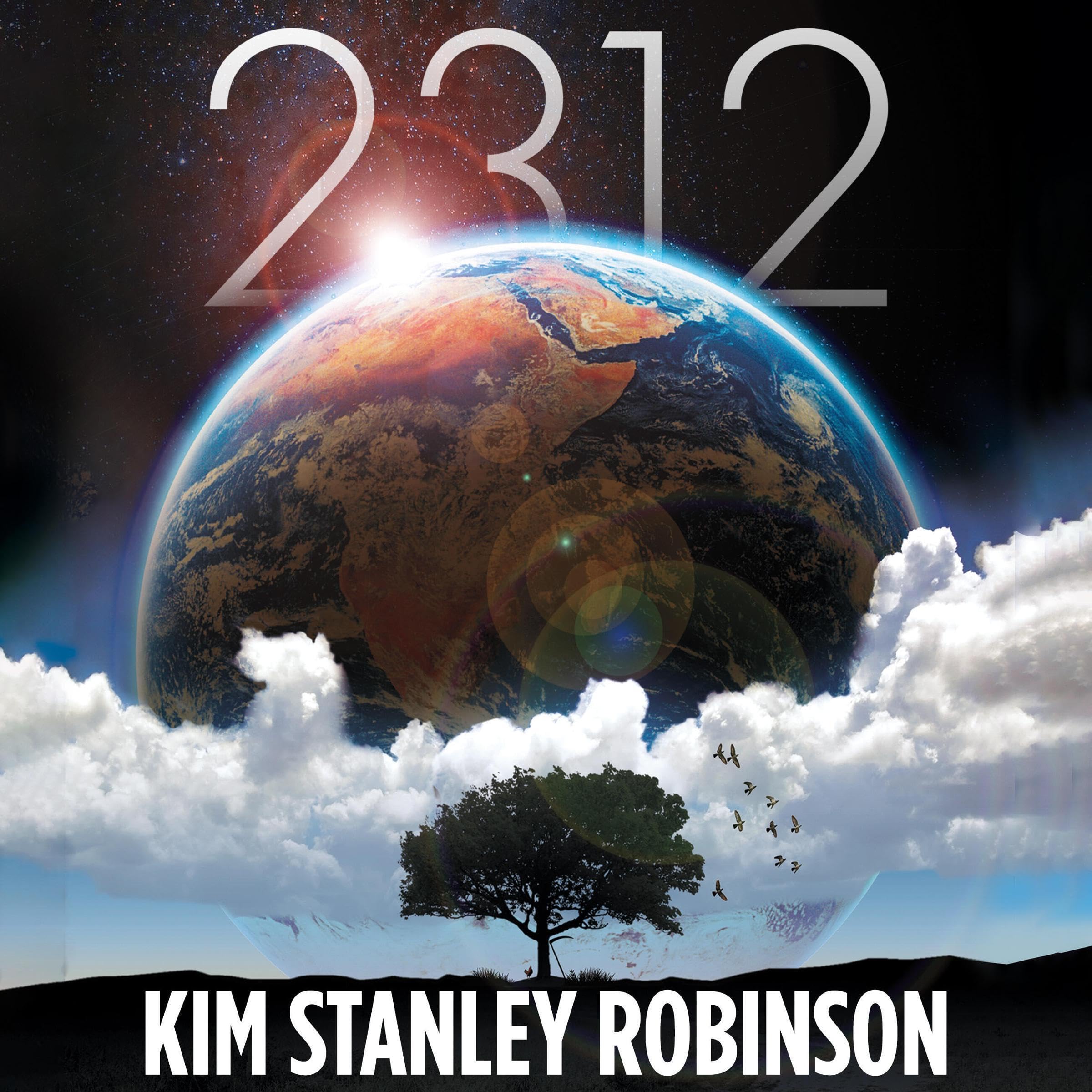 Cover art for 2312