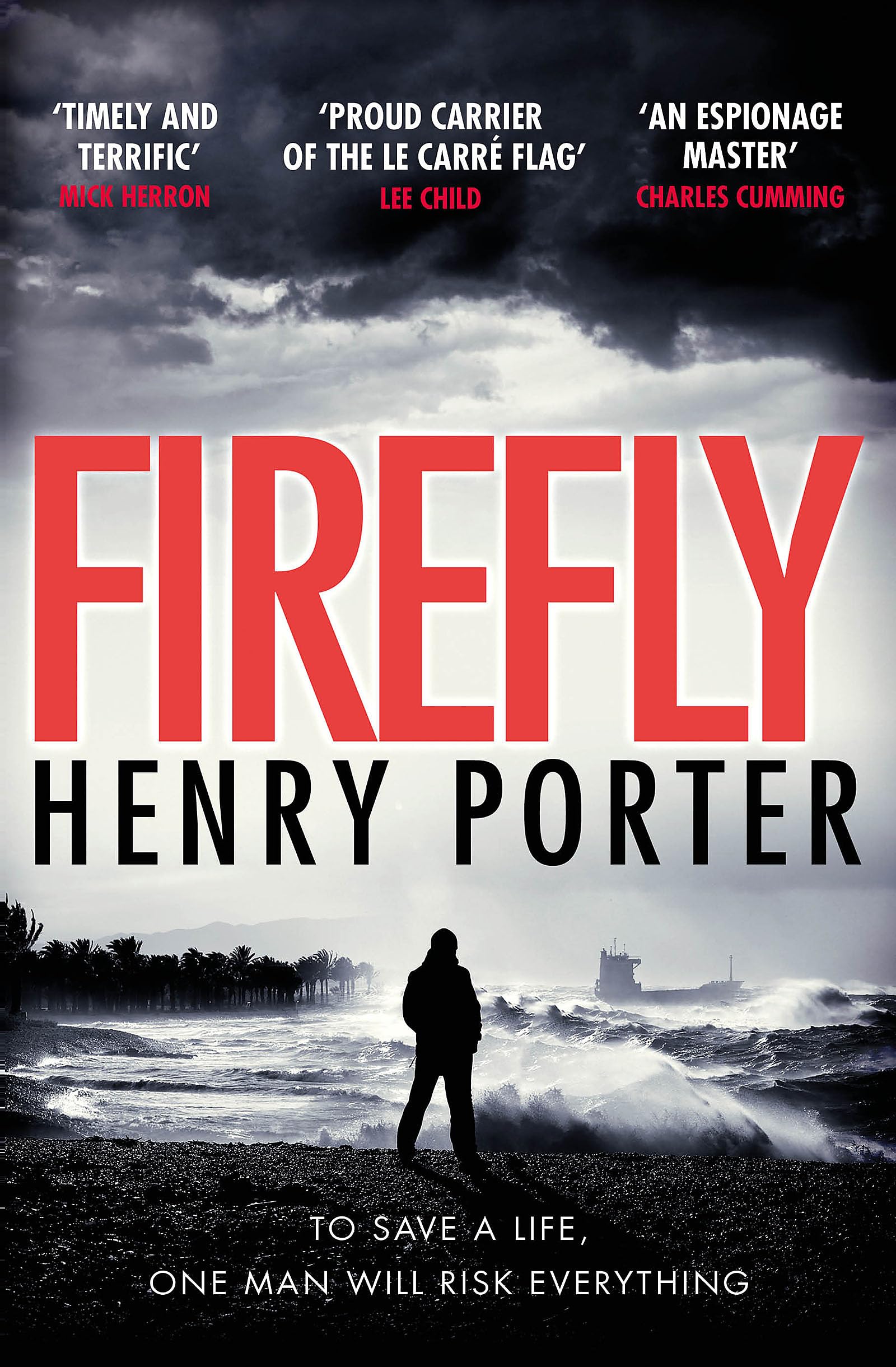 Firefly by Henry Porter (Paperback Book)