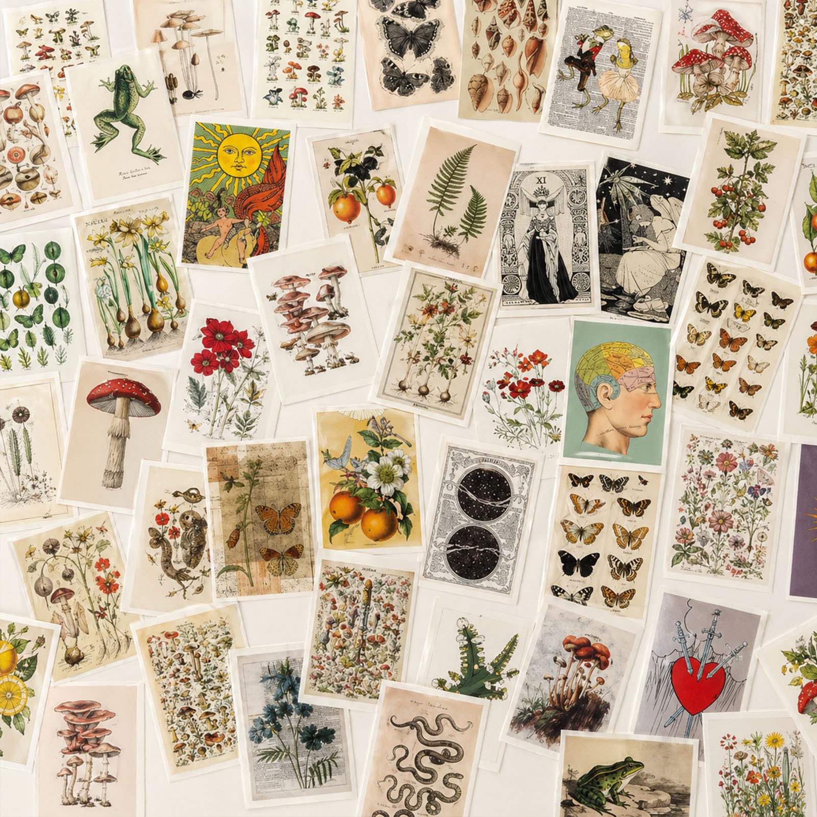 Set de Cartes Postales 50 pièces Vierges Vintage avec Différents Motifs