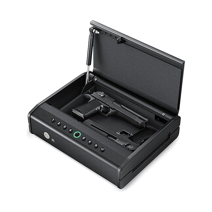 Buy Biometric Gun Safe for Pistols Handgun, REXMEO Handgun Safe 2 Guns