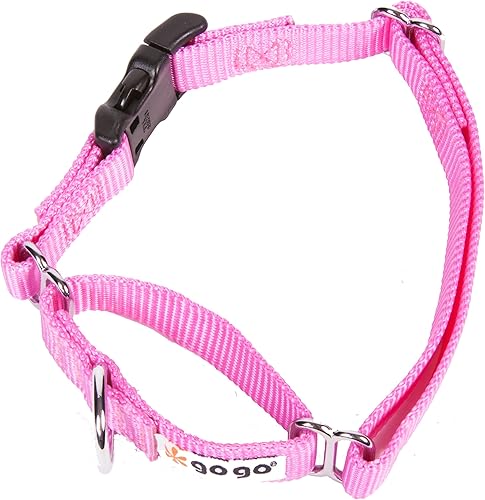 Vista 22 de GoGo Pet Products GoGo - Collar de perro Martingala de 3/8 pulgadas, talla XS, color naranja