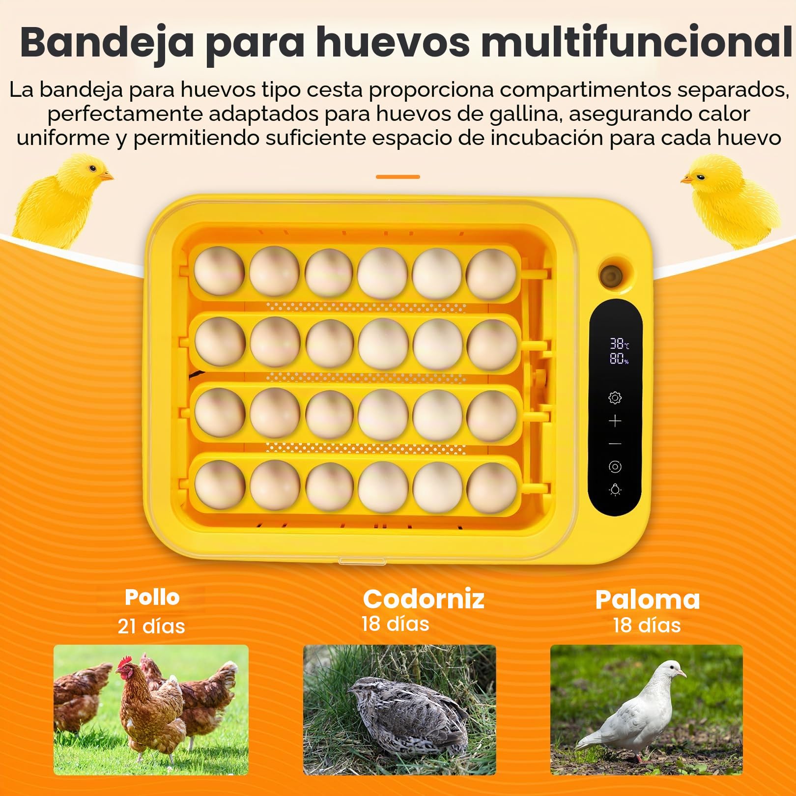 Sailnovo - 24 incubadoras para pollos, otras aves + 20 huevos + incubadora totalmente automática + control de temperatura + indicador de humedad + adición de agua externa- amarillo