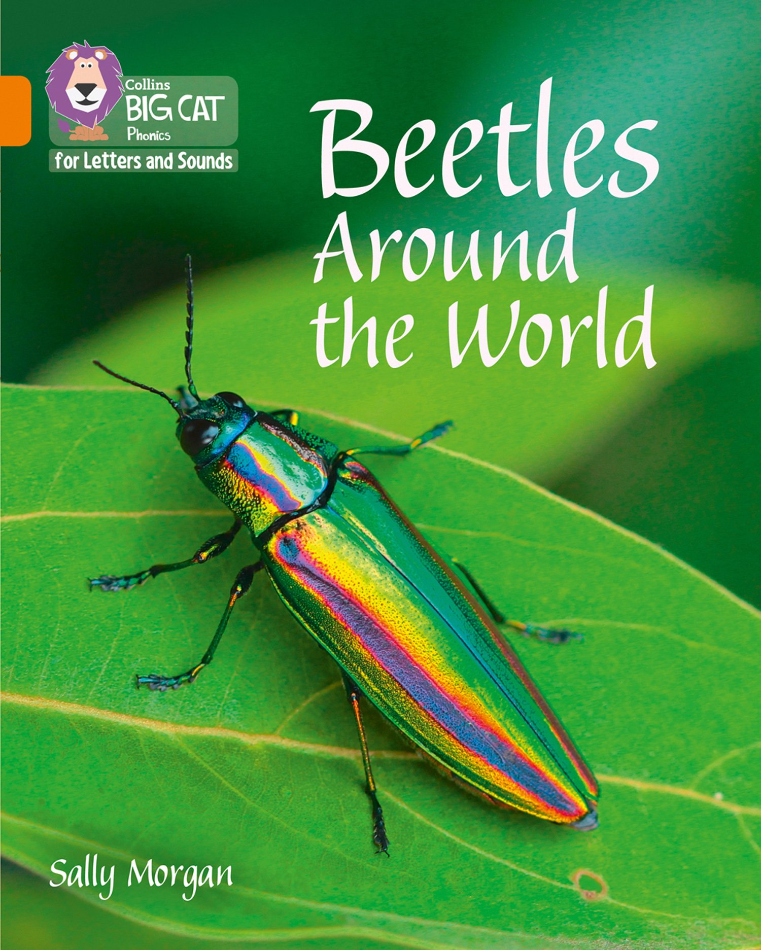 Beetles Around the World: Band 06/Orange (Collins Big Cat Phonics for Letters and Sounds)