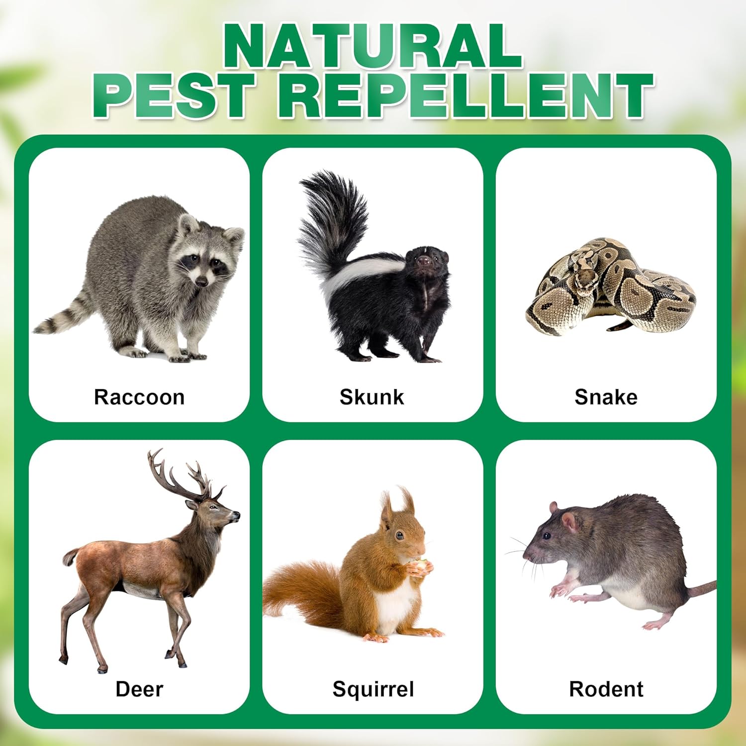 24 Pack Natural Skunk Repellent Pouches, Skunk Raccoon Repellent Pouches for Outdoor Yard Garden House | Long-Lasting Protection | Safe for Dogs and Children