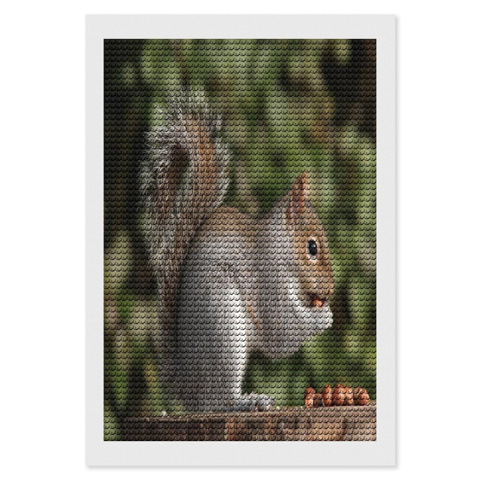 Squirrel Diamond Art Kits for Adult Round Full Drill Diamond Dots Paintings for Beginner Picture Art DIY Diamond Painting Kits 5D Diamond Art Painting for Home Wall Decor 8"x12"