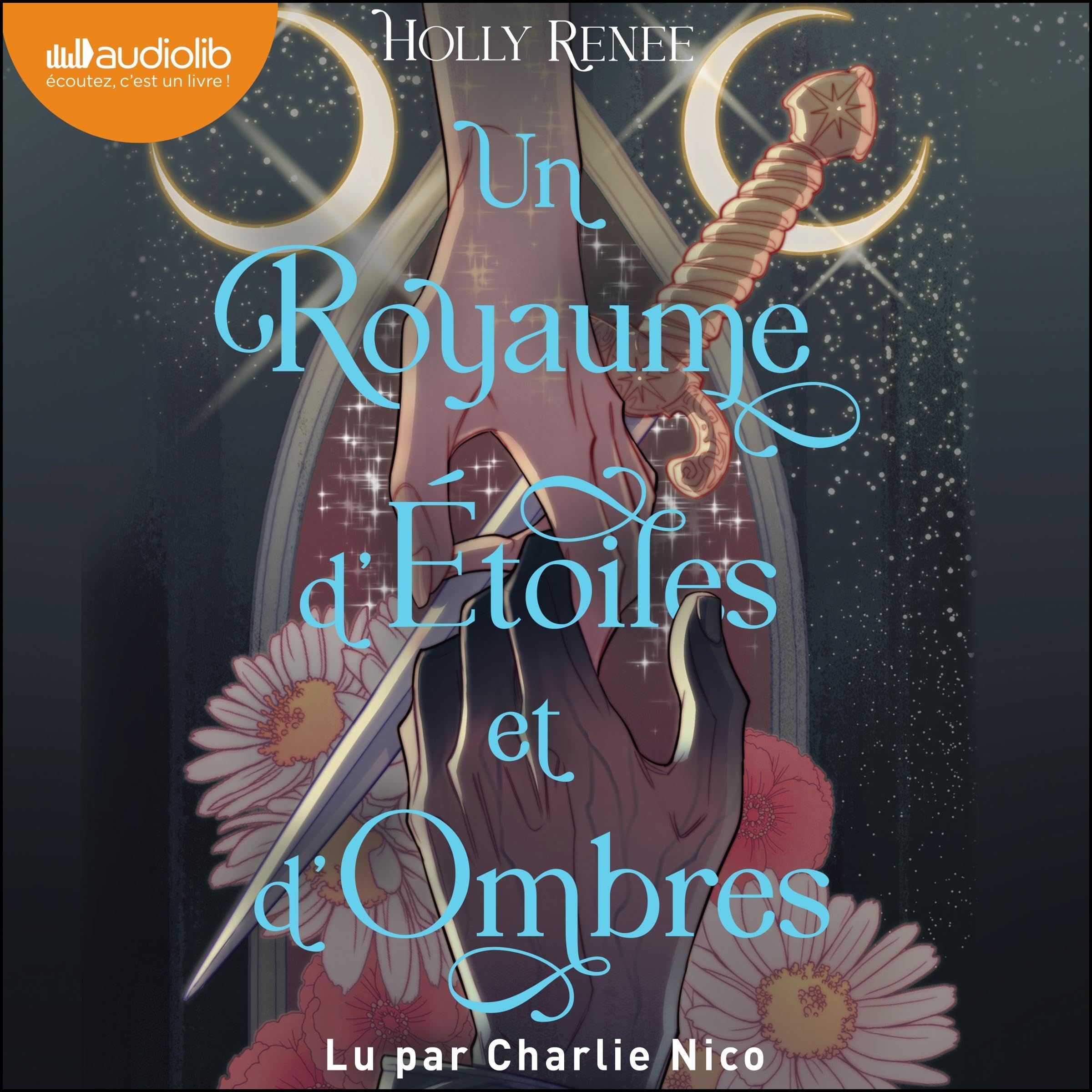 Cover art for Un royaume d'étoiles et d'ombres