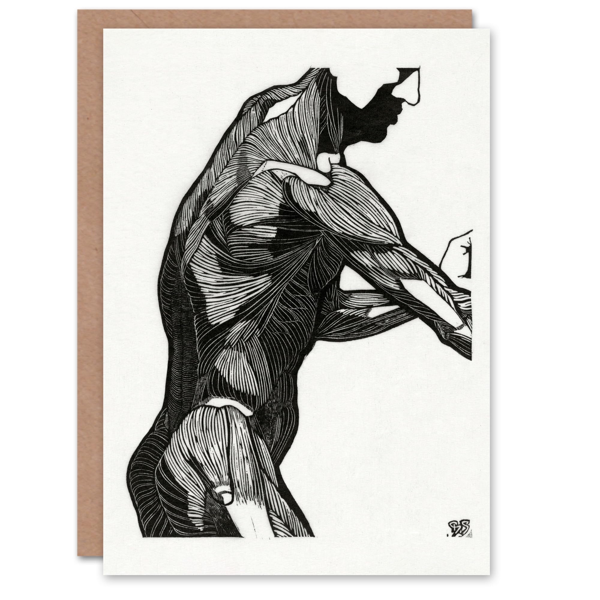 Artery8 Reijer Stolk Art Card Anatomical Study Of a Mans Lateral Muscles