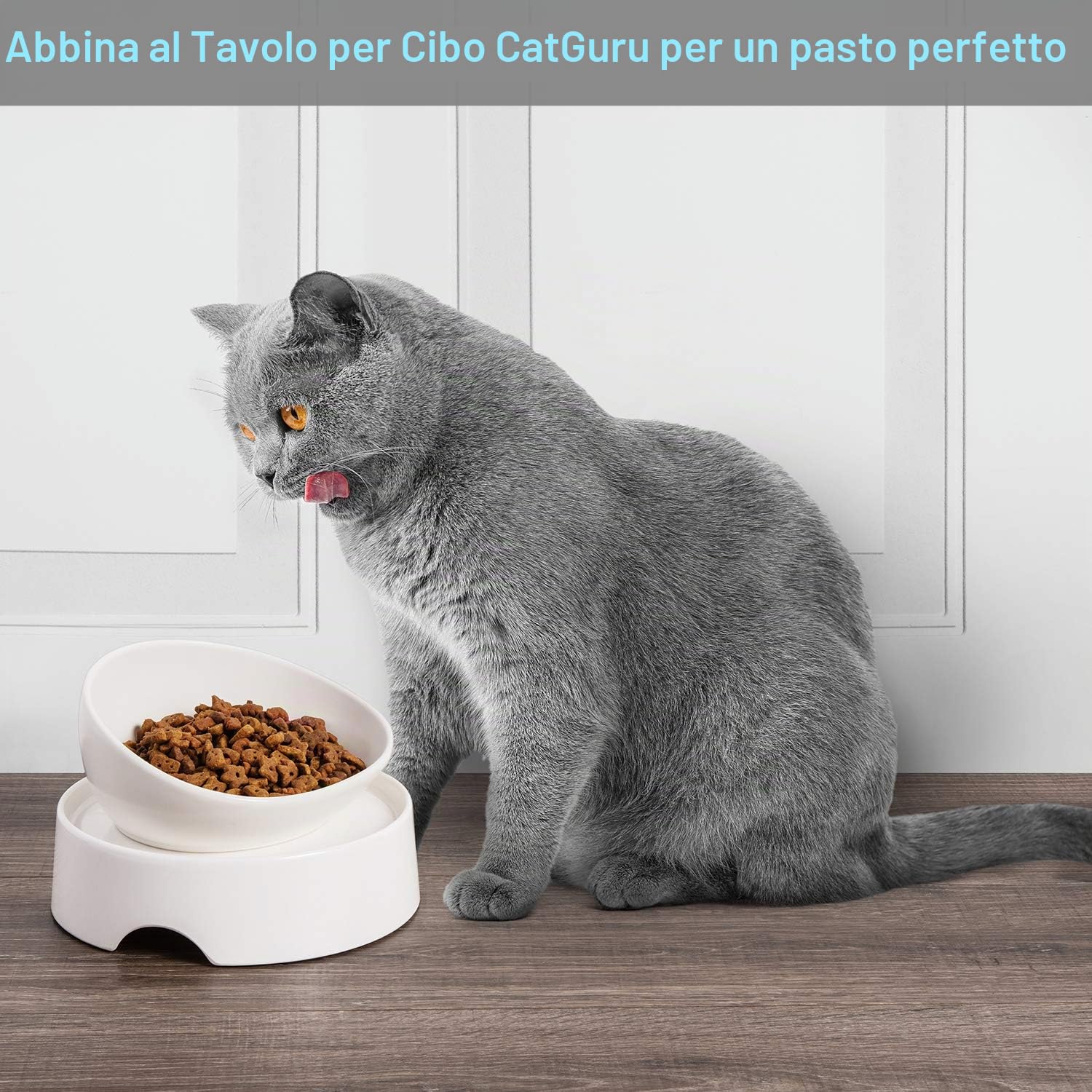 CatGuru Ciotole per gatti, in ceramica, antigoccia, senza stress, antiscivolo, per cibo e acqua, include tappetino in silicone (alto-basso, bianco)