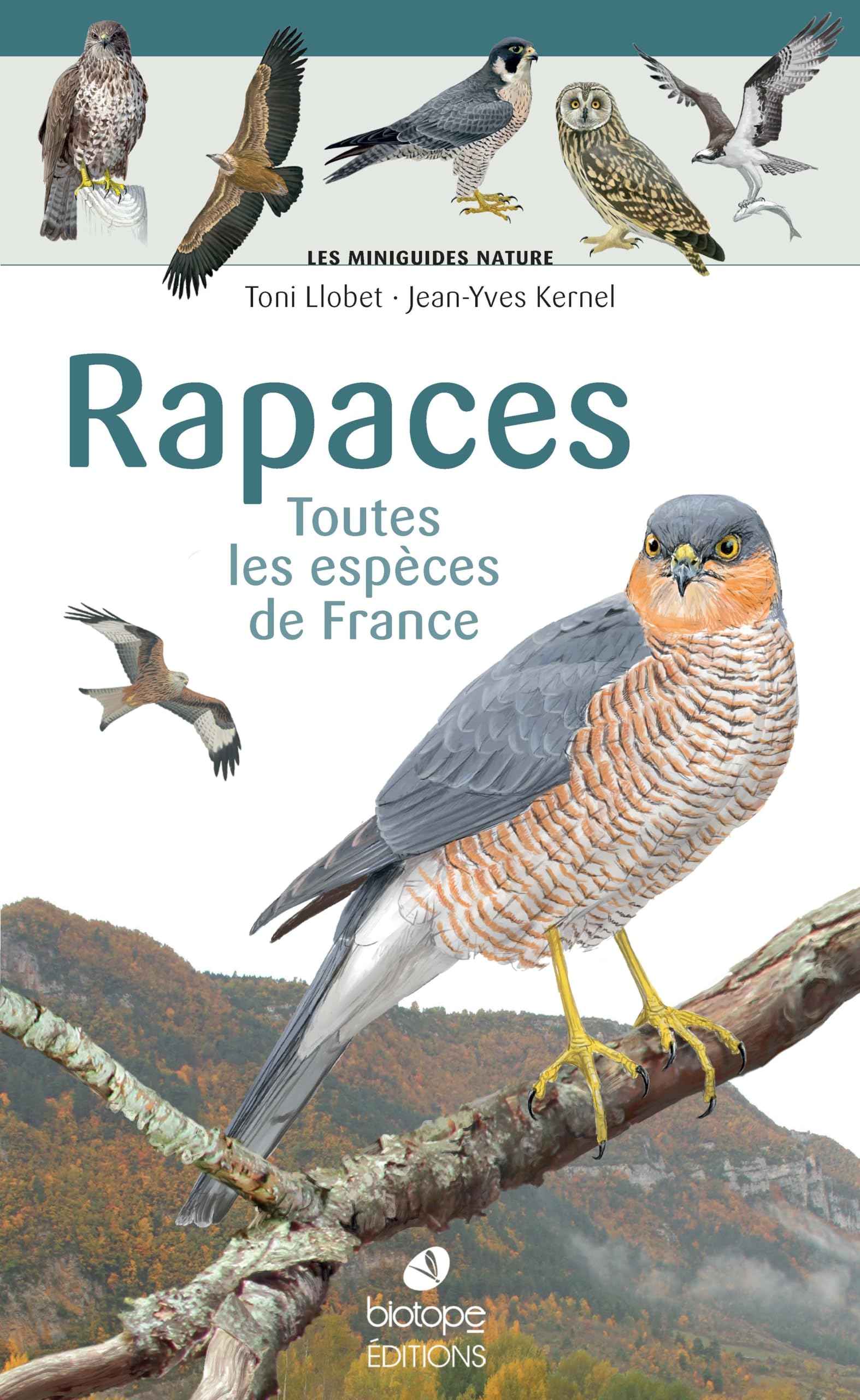 Les miniguides nature - Rapaces de France: Toutes les espèces