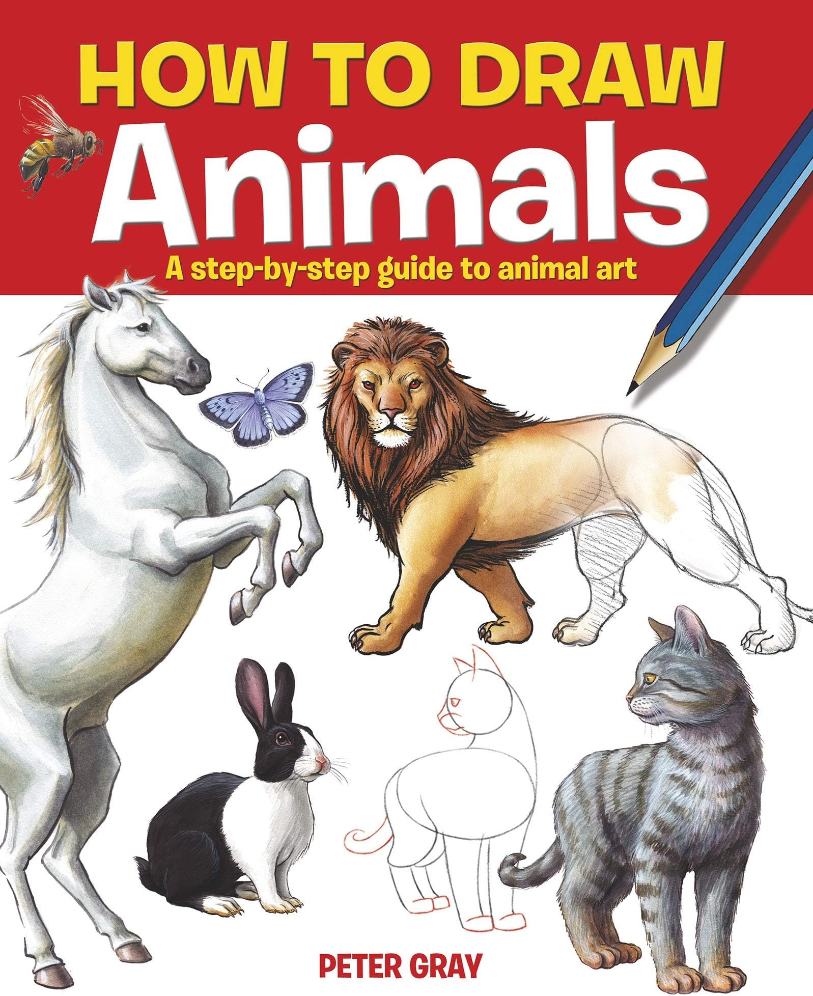 How to Draw Animals: Mobility, Citizenship and Exclusion
