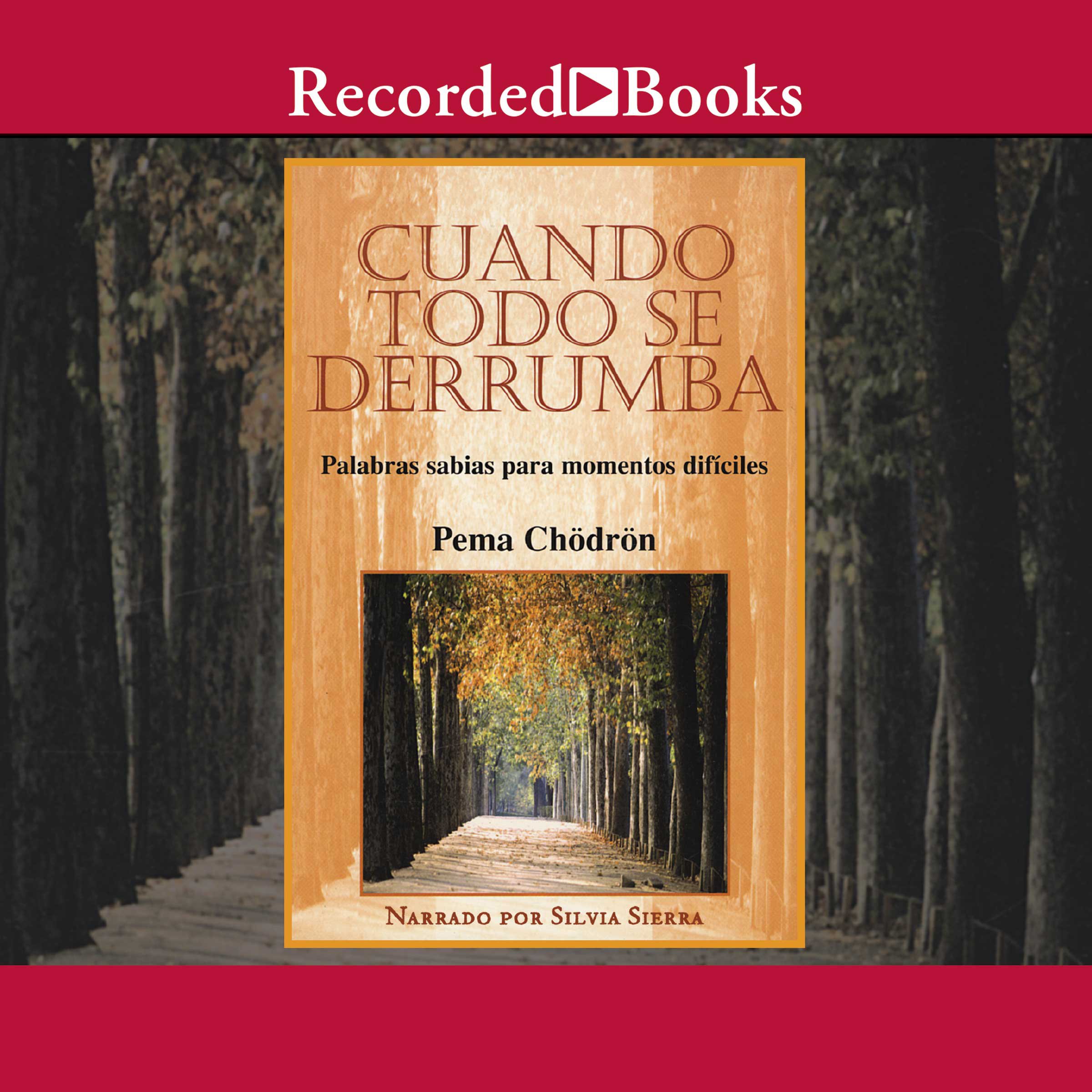 Cover art for Cuando todo se derrumba