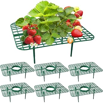 Pack of 15 Strawberry Support Stands Square Strawberry Rippers Removable Strawberry Grid Green