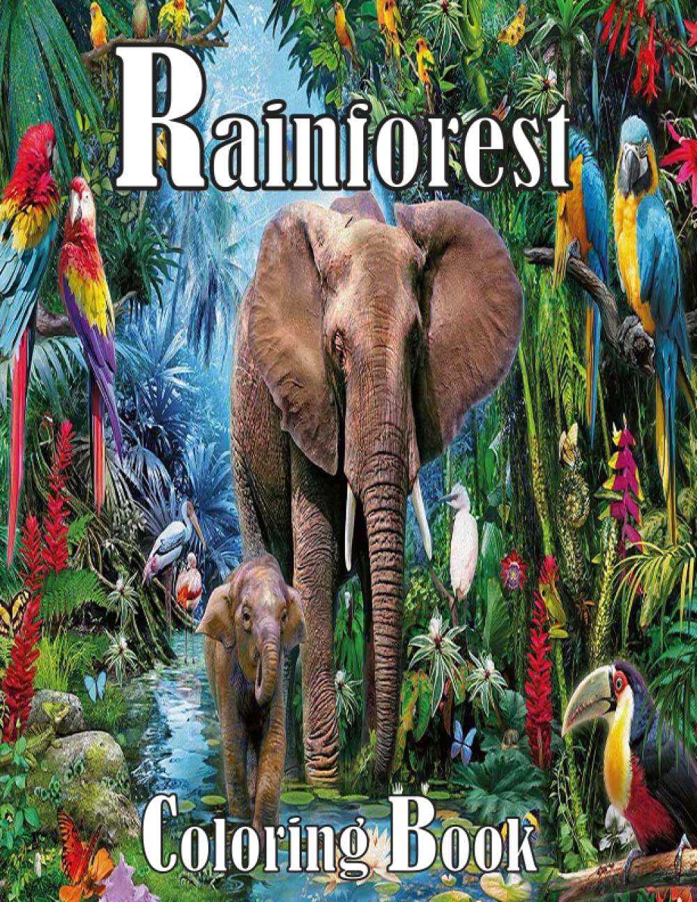 Rainforest Coloring Book: An Adult Coloring Book Featuring Tropical Plants, Exotic Animals and Beautiful Rainforest Birds and Flowers