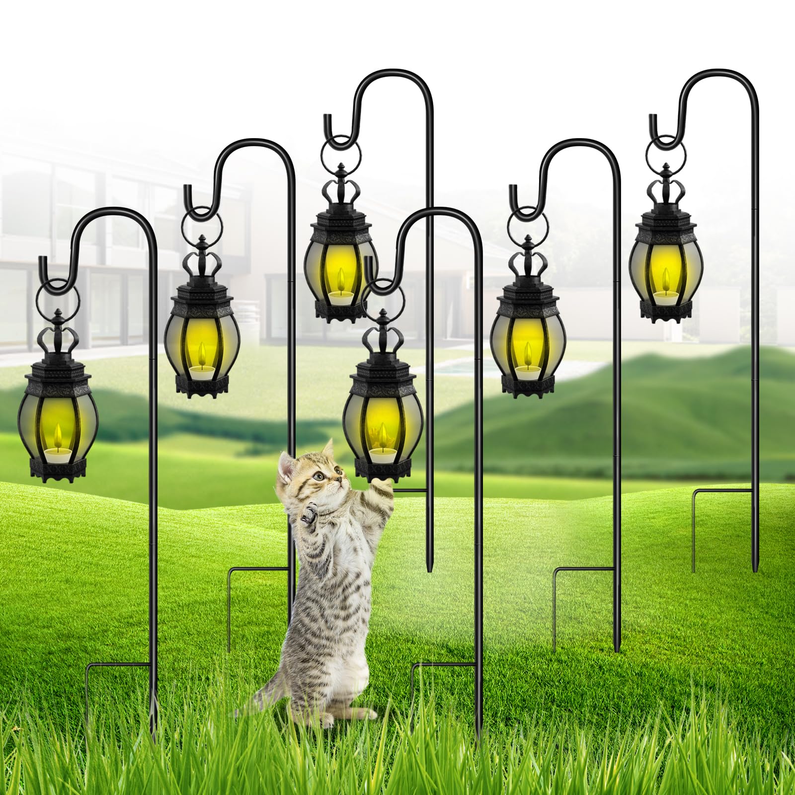 ACCESSORI PER GABBIE automatiche per mangiatoie per uccelli Nessun