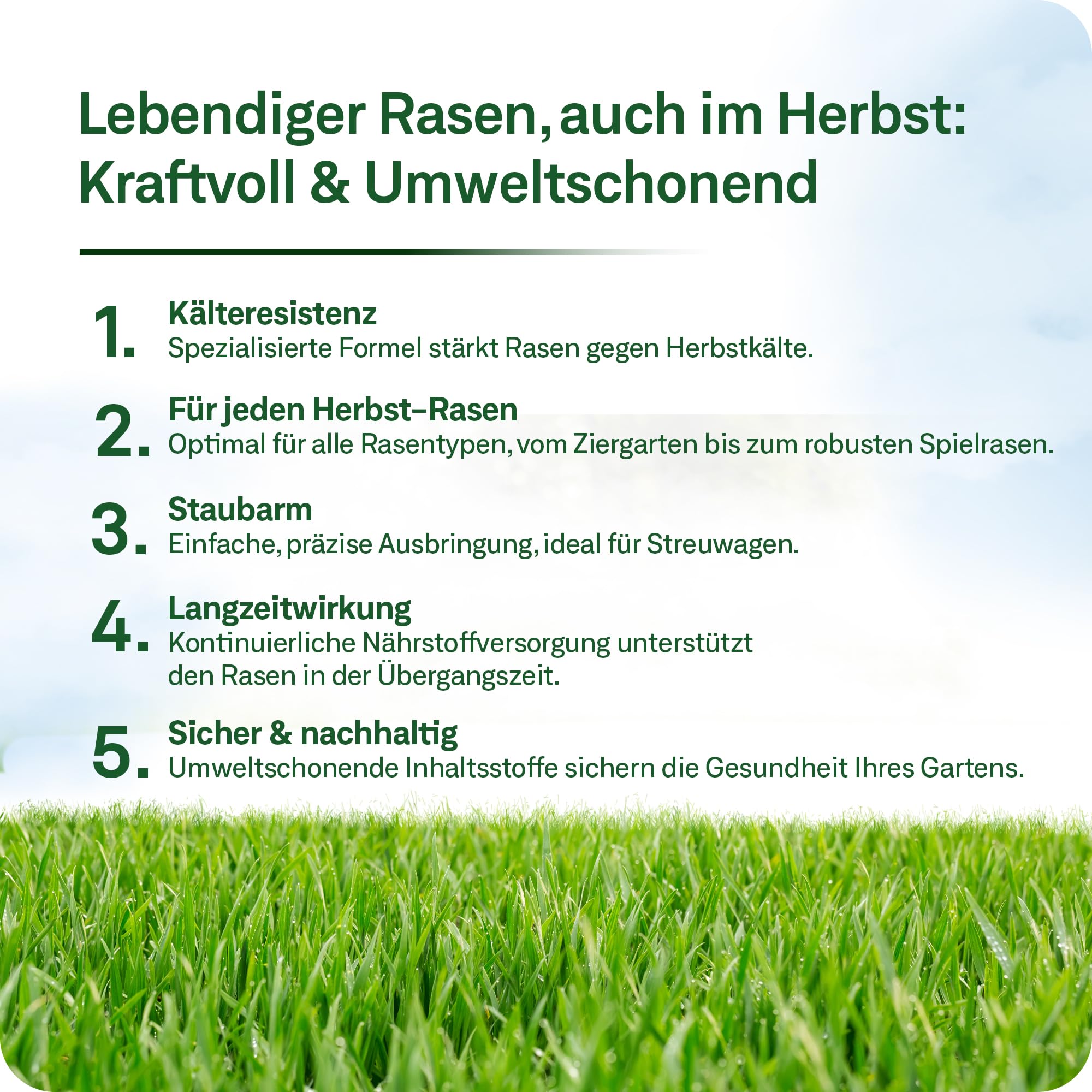 organtic Herbstrasendünger 20kg - Rasendünger mit Kalium für Herbst & Winter - Unterstützt sattgrünen Rasen, Moosverdrängung & starke Rasengräser - Für organische Rasenpflege im Garten