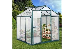 Greenhouse 6x6 Green