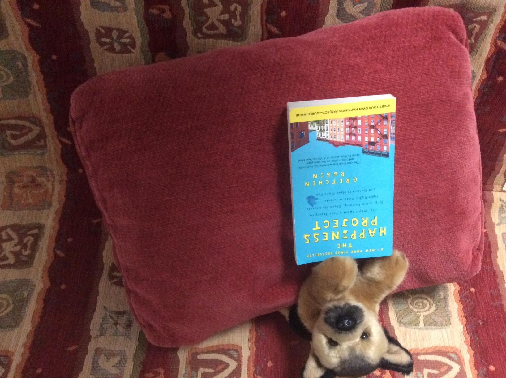 The sexless happiness project