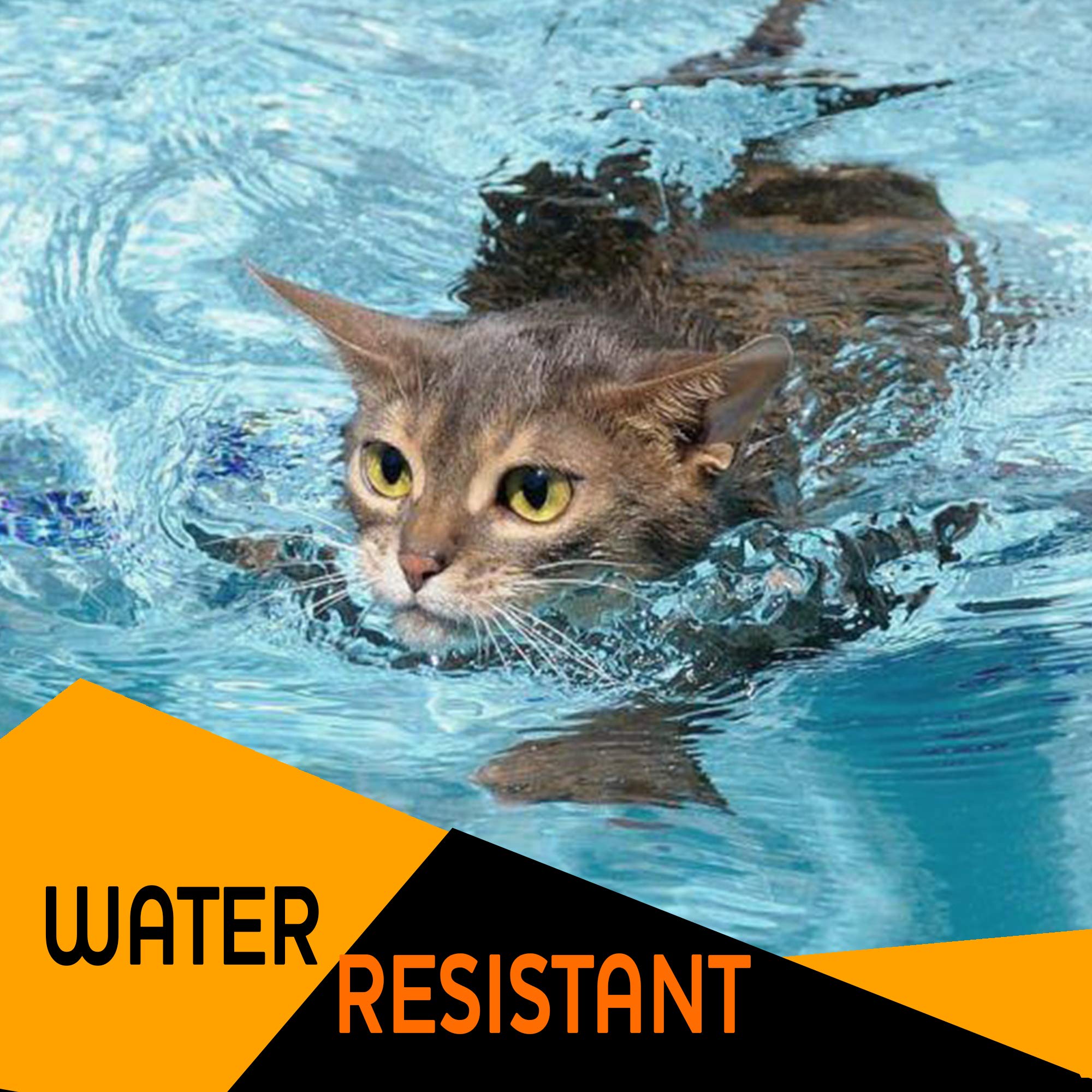 rokey flea collar for cats