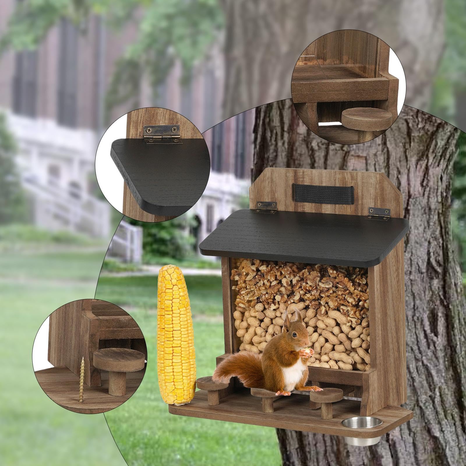Mangiatoia per scoiattoli, mangiatoia Decorativa per scoiattoli, Robusta, Facile da riempire, con Coperchio apribile per Alberi e Cortile
