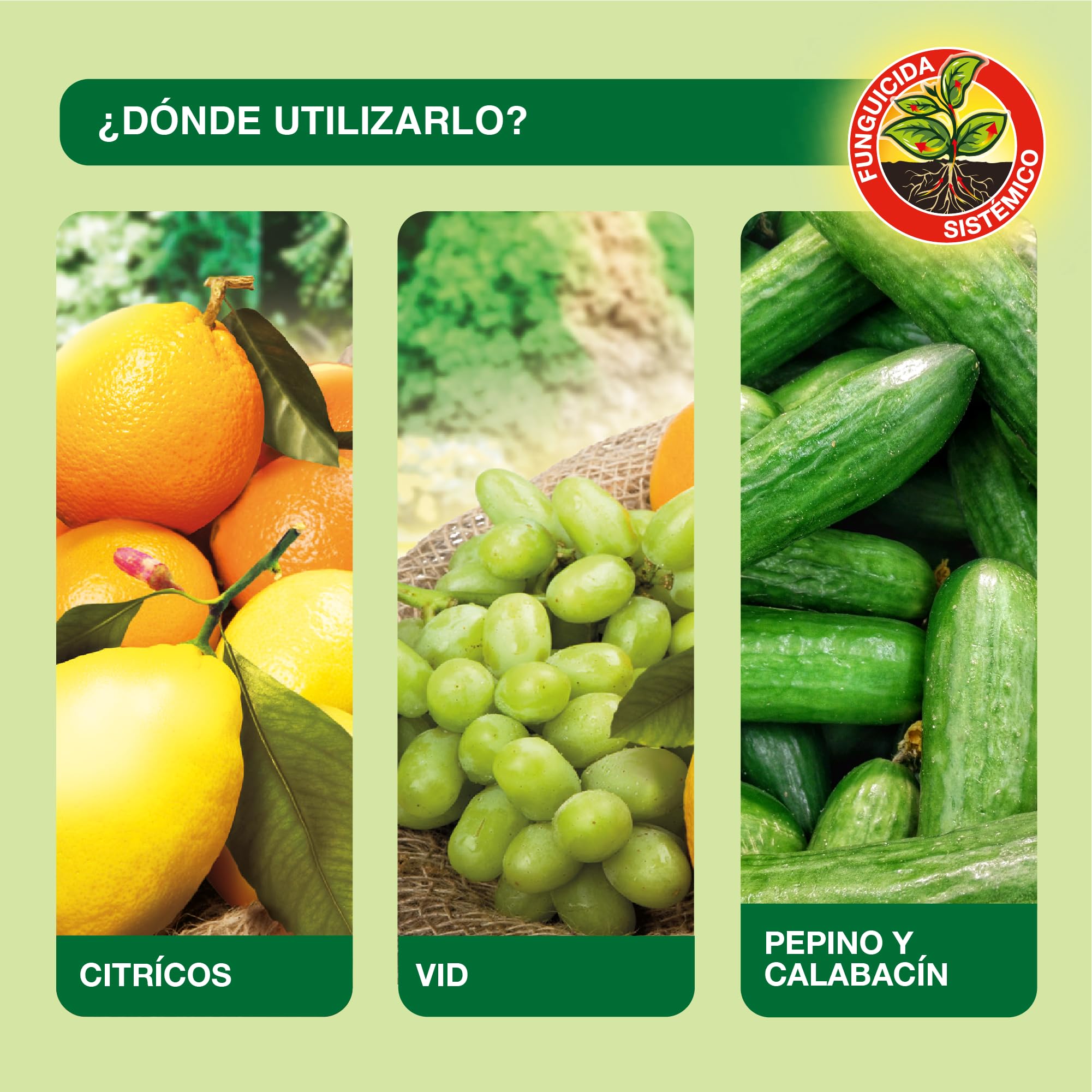 Protect Garden Fungicida sistémico WG, ideal para cítricos, horticolas y vid. Previene y cura las enfermedades fúngicas de la vid, los cítricos y hortícolas (El empaque puede variar)