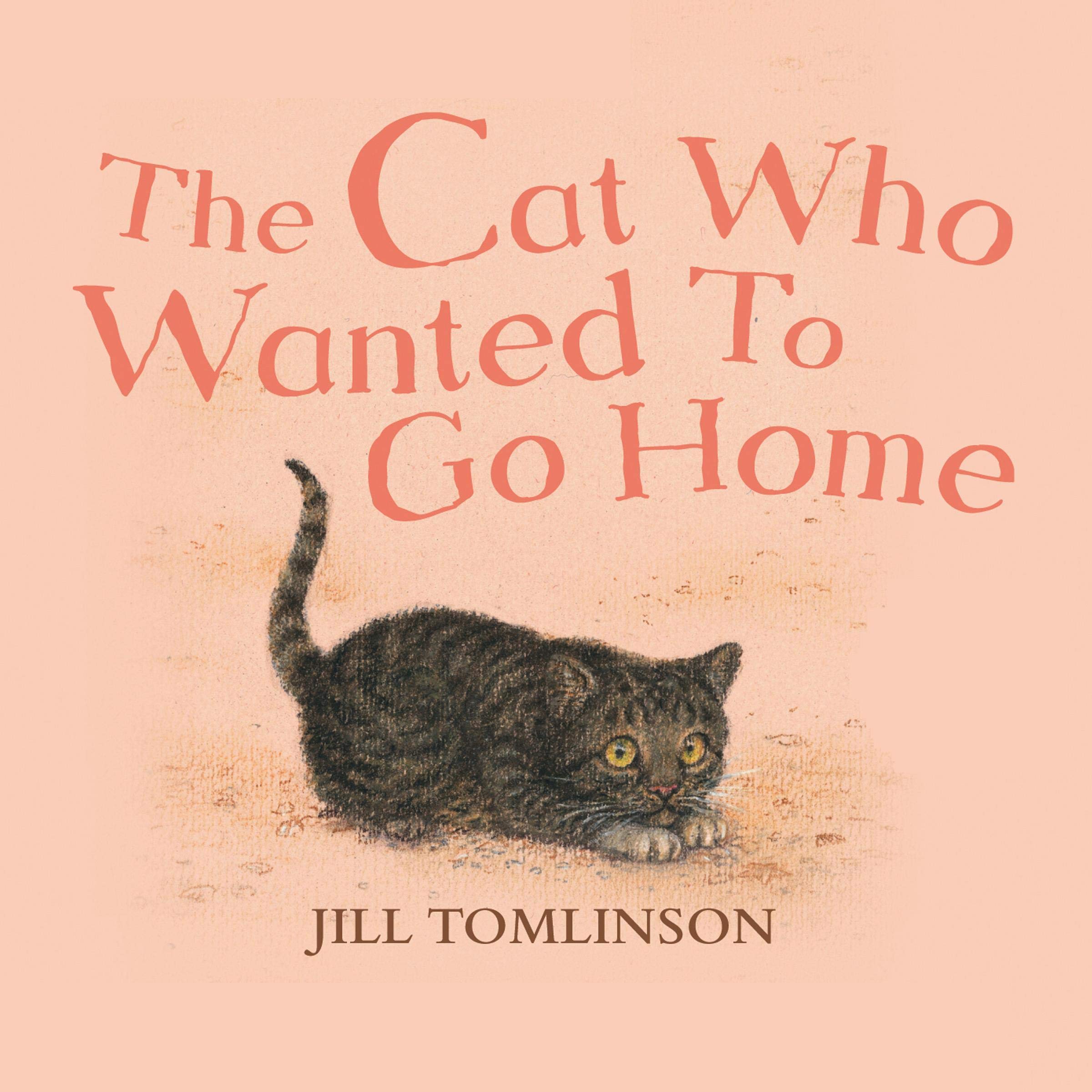 Cover art for The Cat Who Wanted to Go Home
