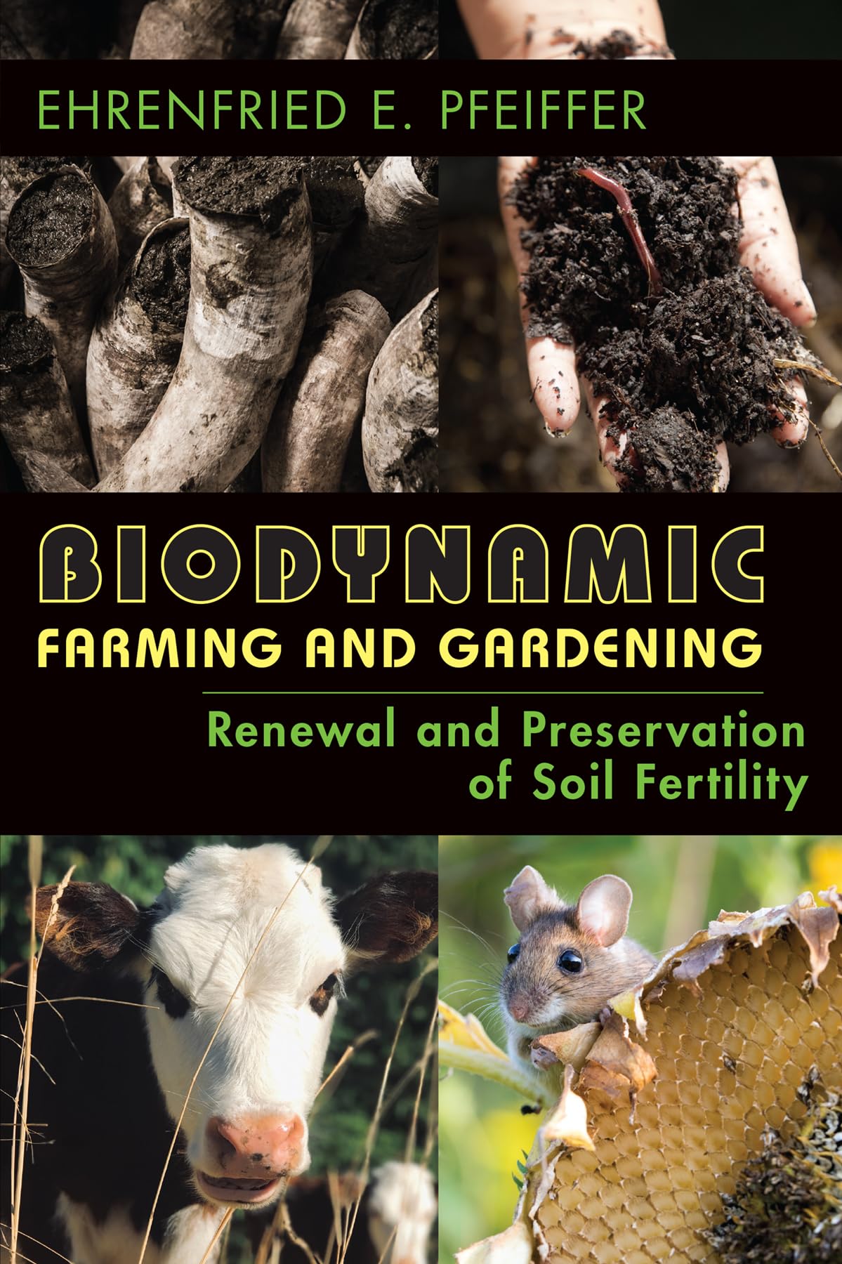 Biodynamic Farming and Gardening by Ehrenfried Pfeiffer (Paperback Book)