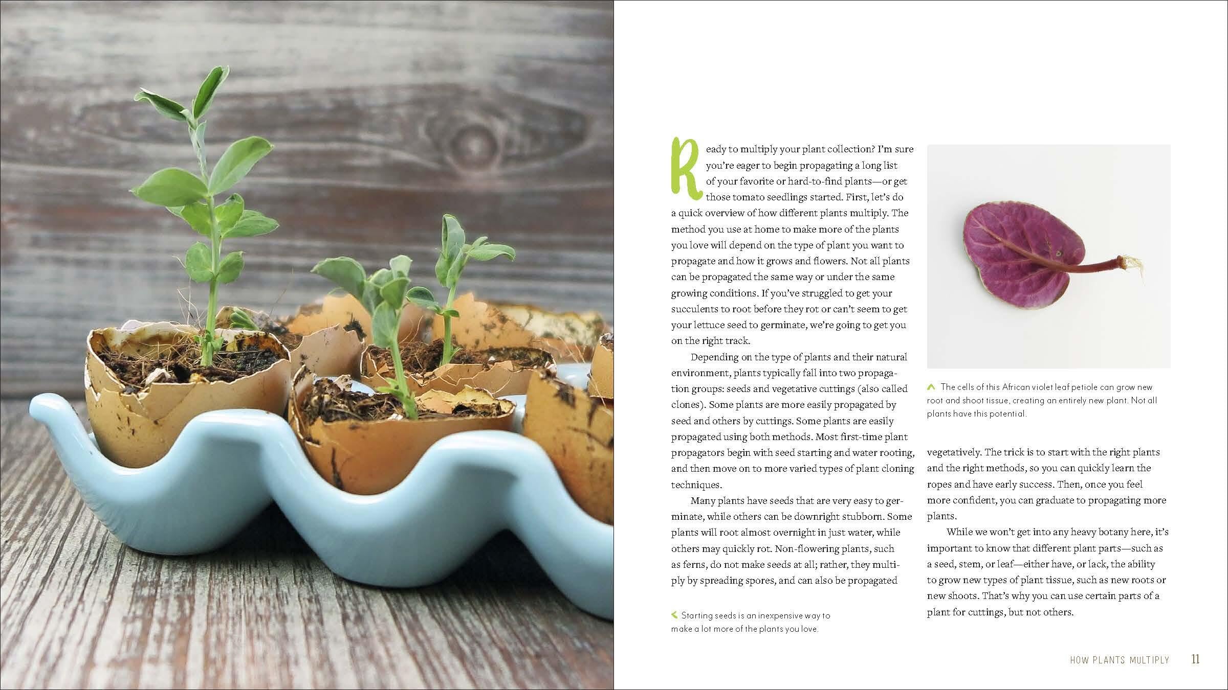 Plant Parenting: Easy Ways to Make More Houseplants, Vegetables, and Flowers
