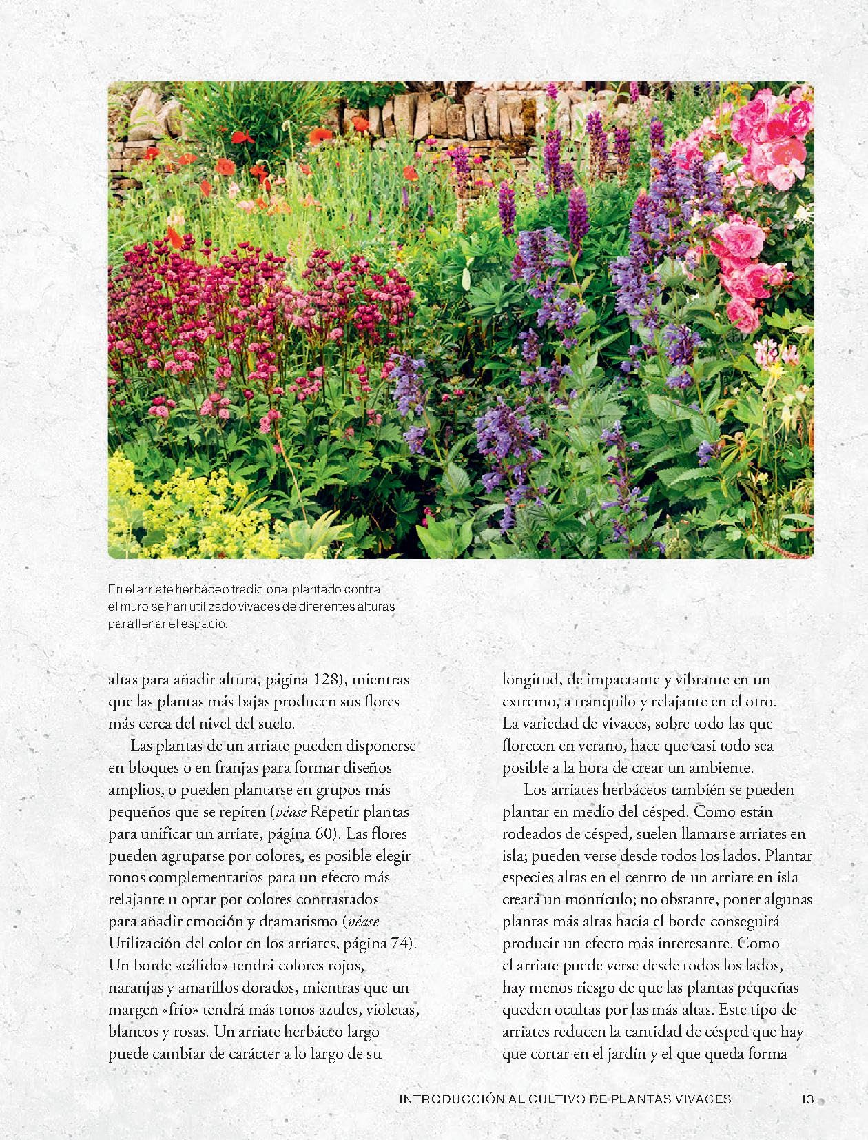 Cultivar plantas vivaces (JARDIN)